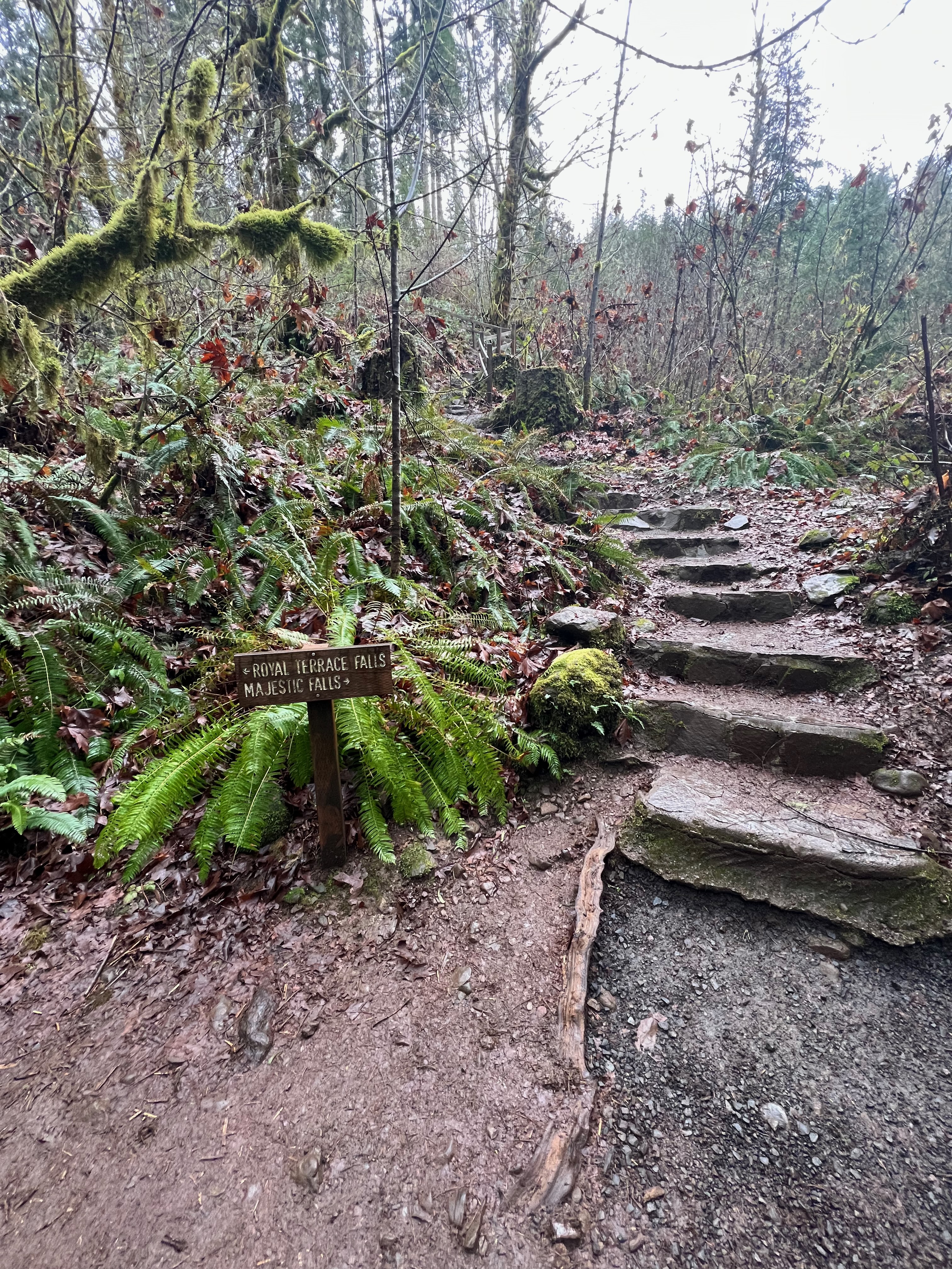 Royal terrace falls
