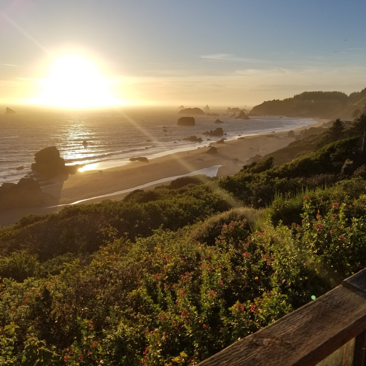 7ish Things to do in Brookings Oregon