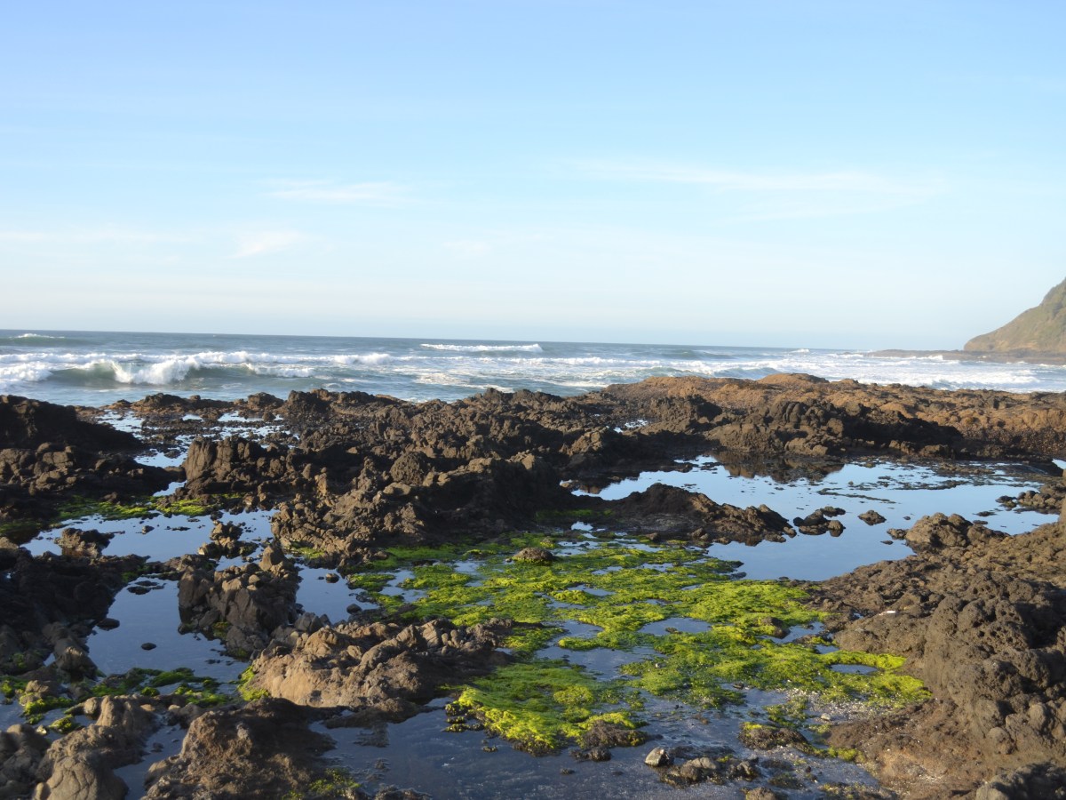 Thor’s Well near Yachats, Oregon