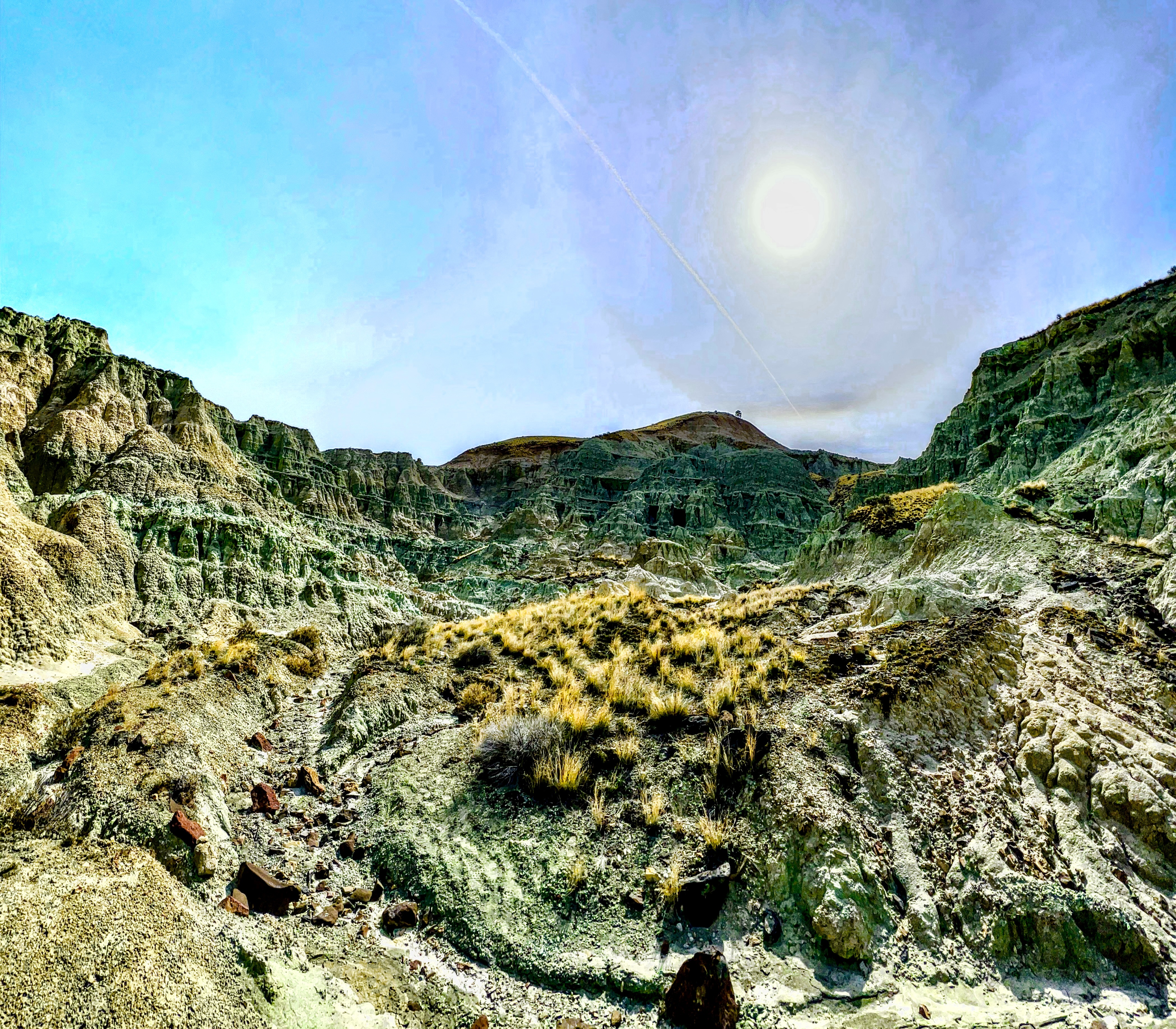 Blue Basin Oregon Sheep Rock Unit