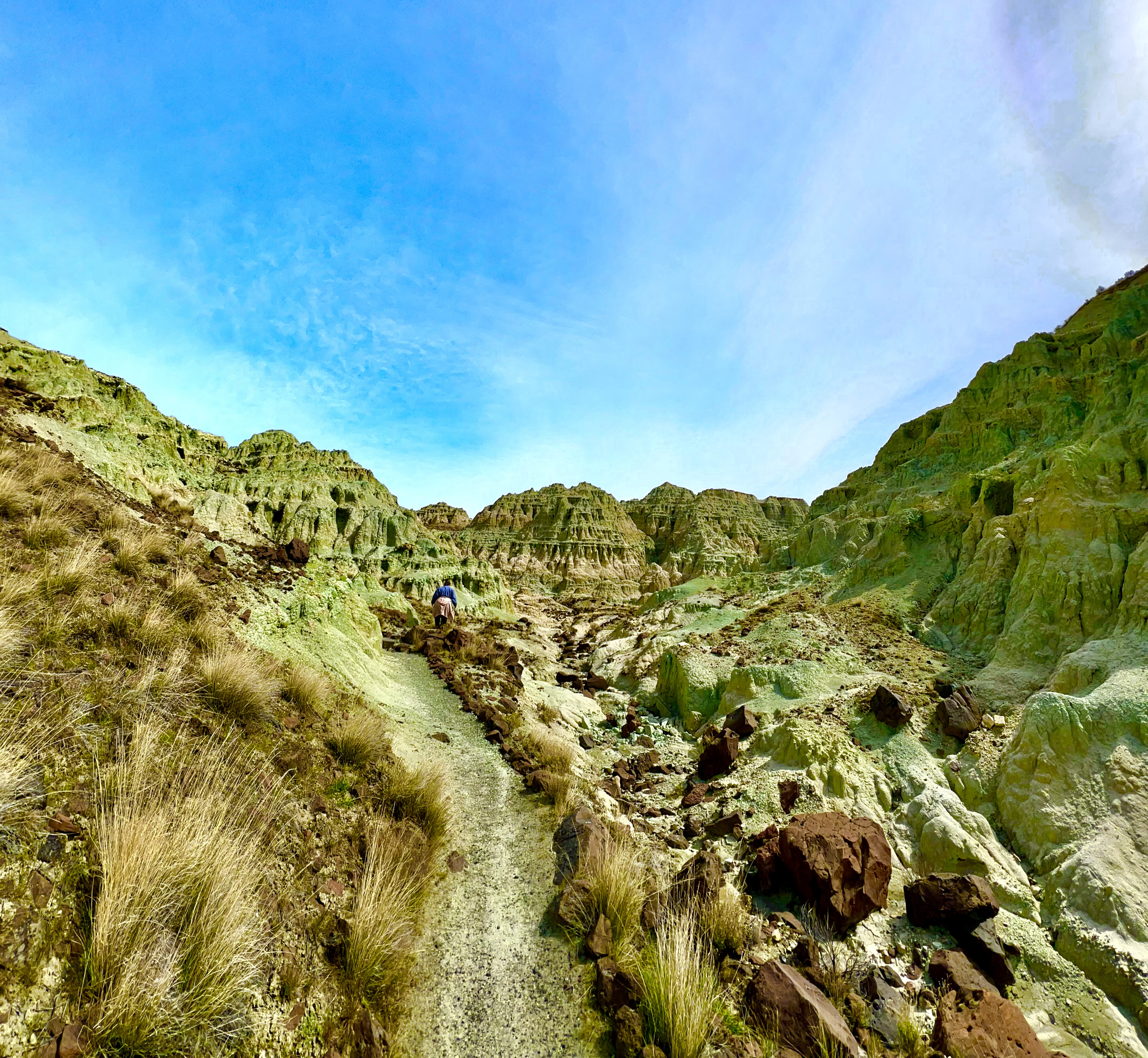 Blue Basin Overlook trail - John Day Fossil Beds