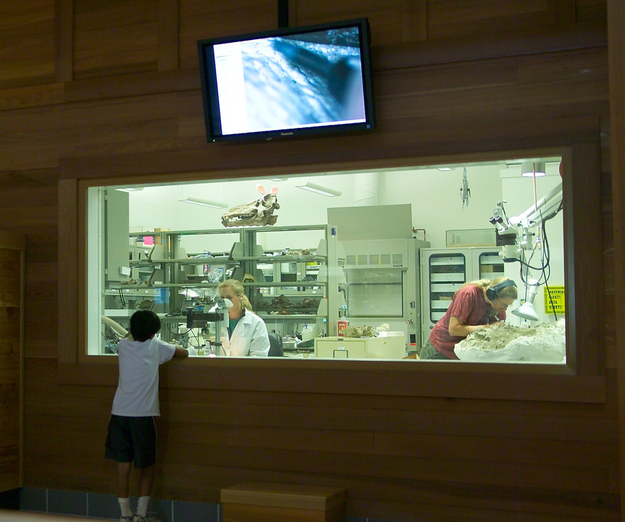 Thomas Condon Paleontology Center Fossil Lab