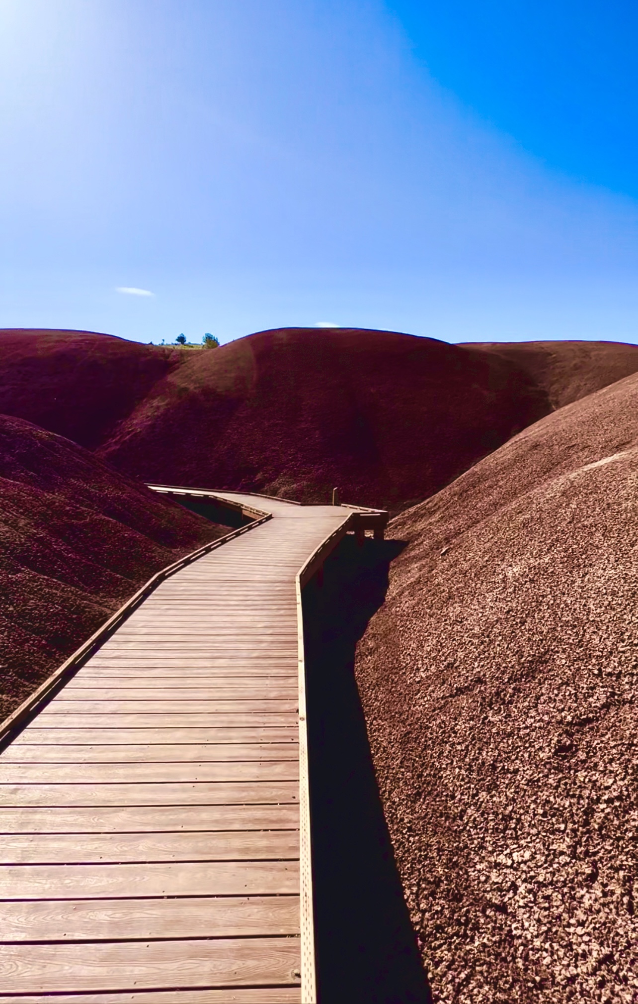 Wooden boardwalk leading through deep red painted mounds on the Painted Cove Trail at the Painted Hills Unit