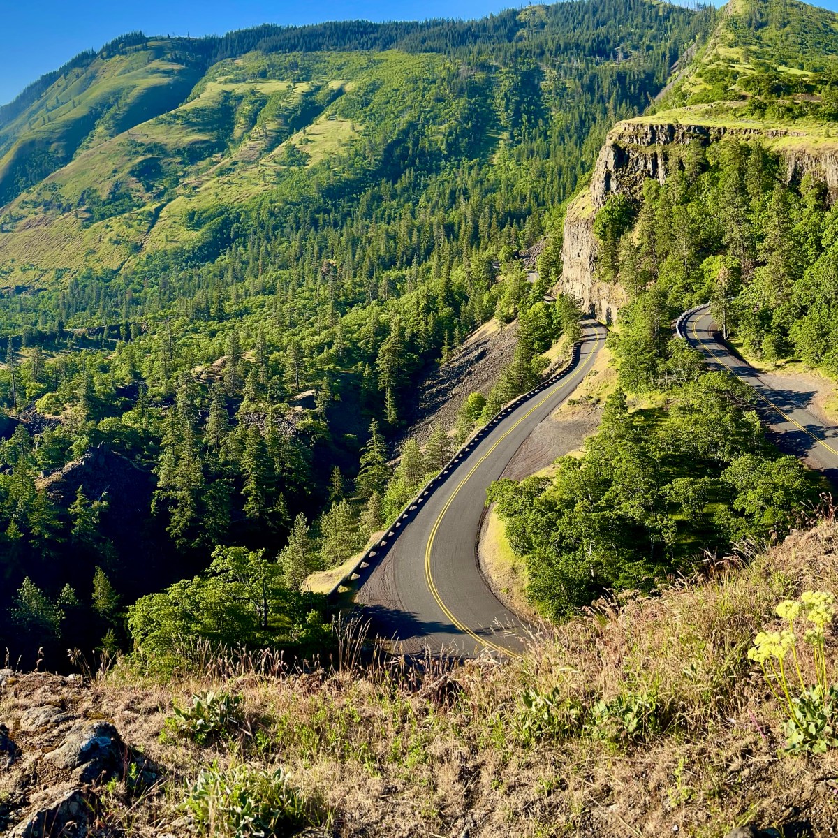 Rowena Crest Viewpoint & Tom McCall Point Trail