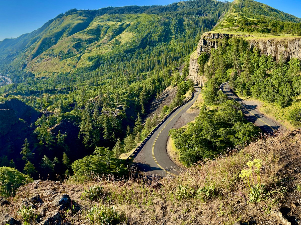 Rowena Crest Viewpoint & Tom McCall Point Trail
