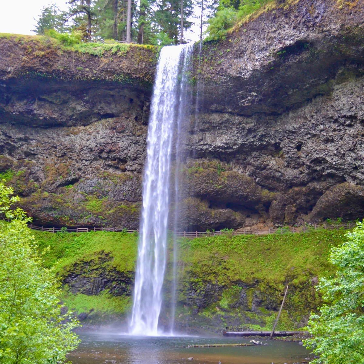 Guide: The Trail of Ten Falls – Silver Falls State Park 