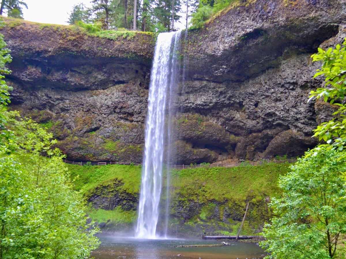 Guide: The Trail of Ten Falls – Silver Falls State Park 