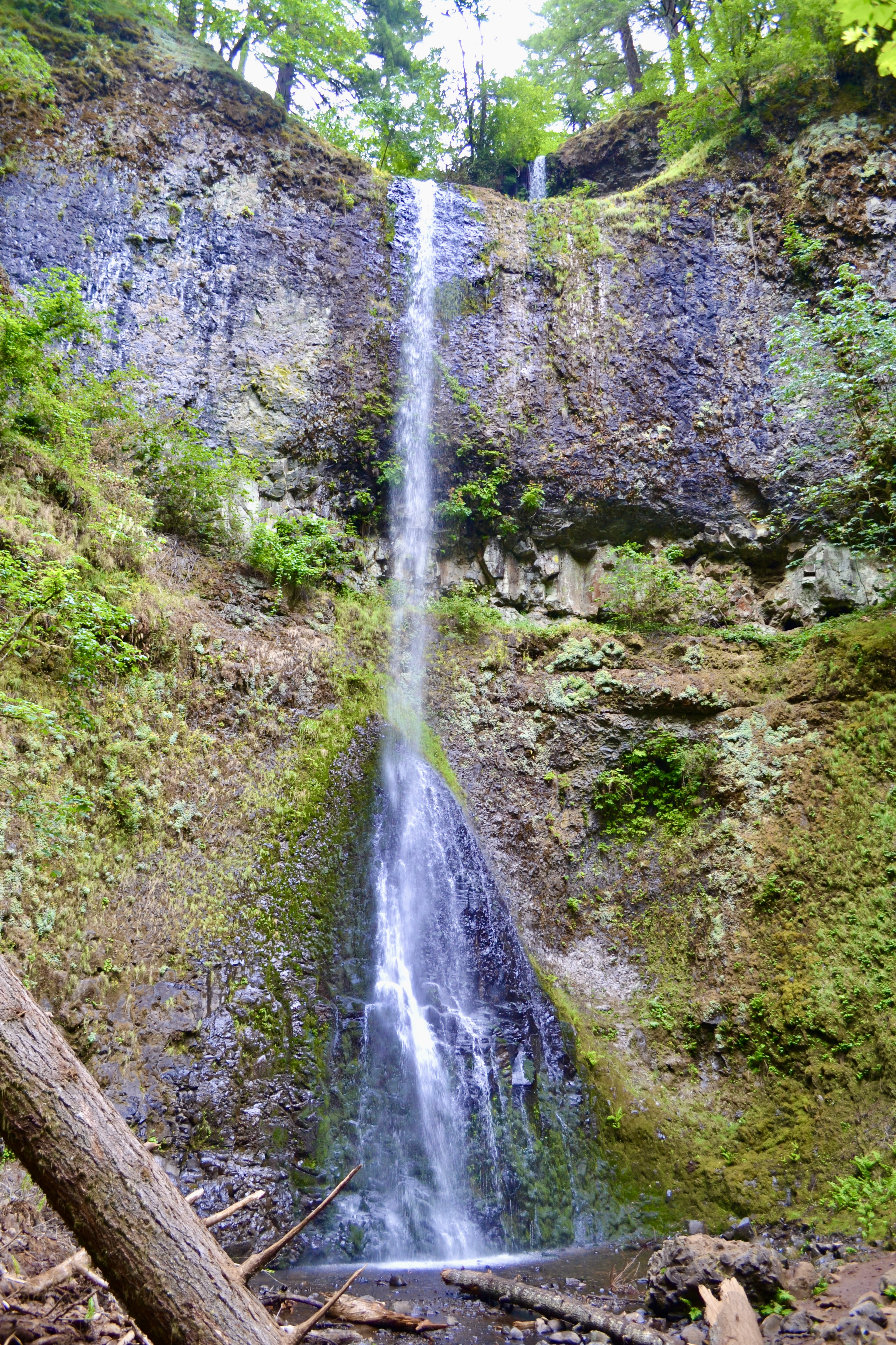 Double Falls cascading through the canyon at Silver Falls State Park
