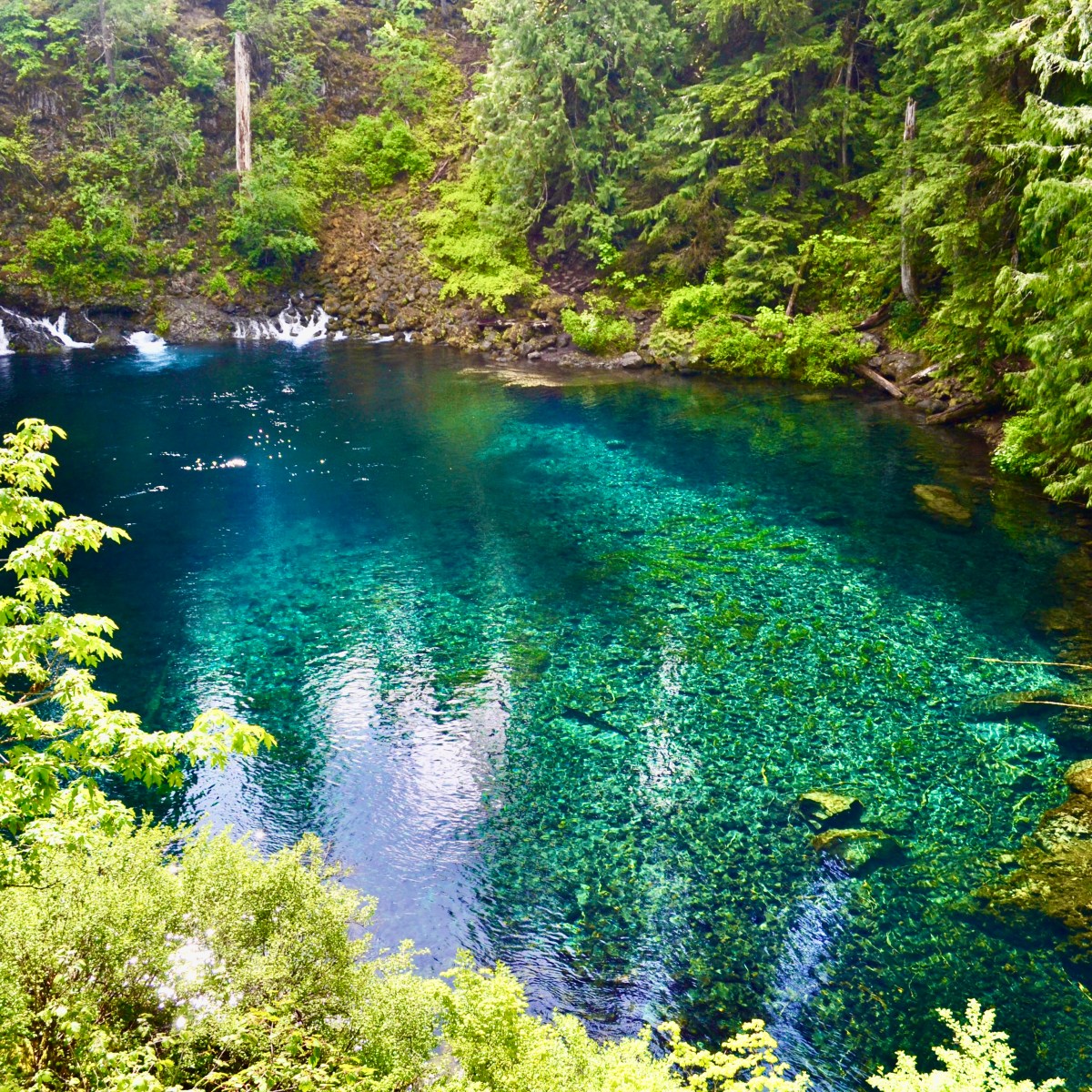 Hiking at Tamolitch Falls (Blue Pool)