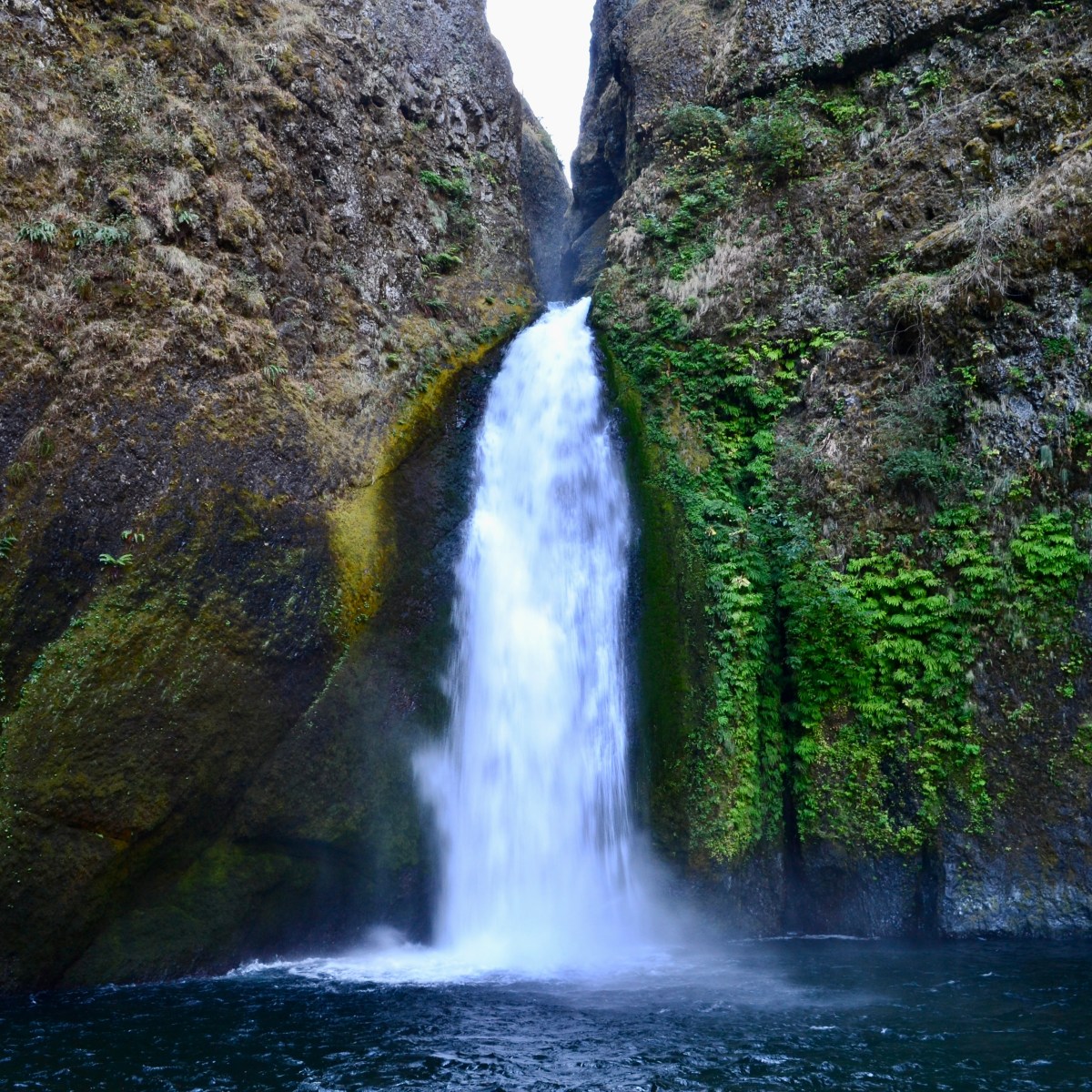 Wahclella Falls Trail