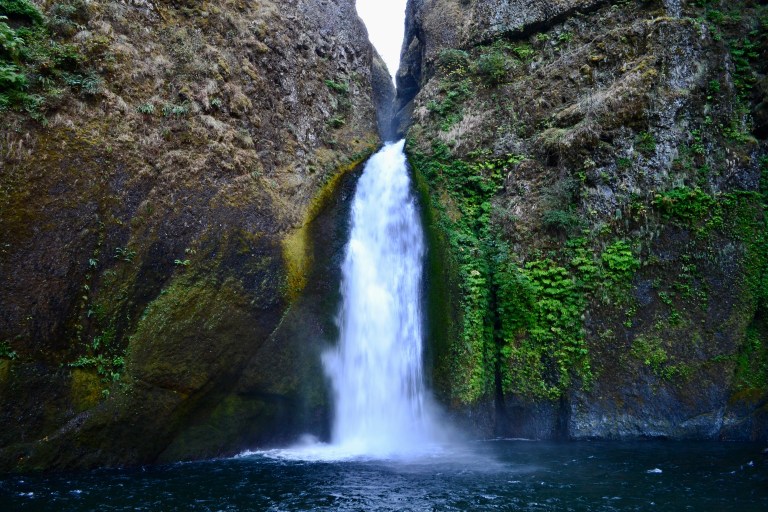 wahclella-falls-trail-oregon-tails