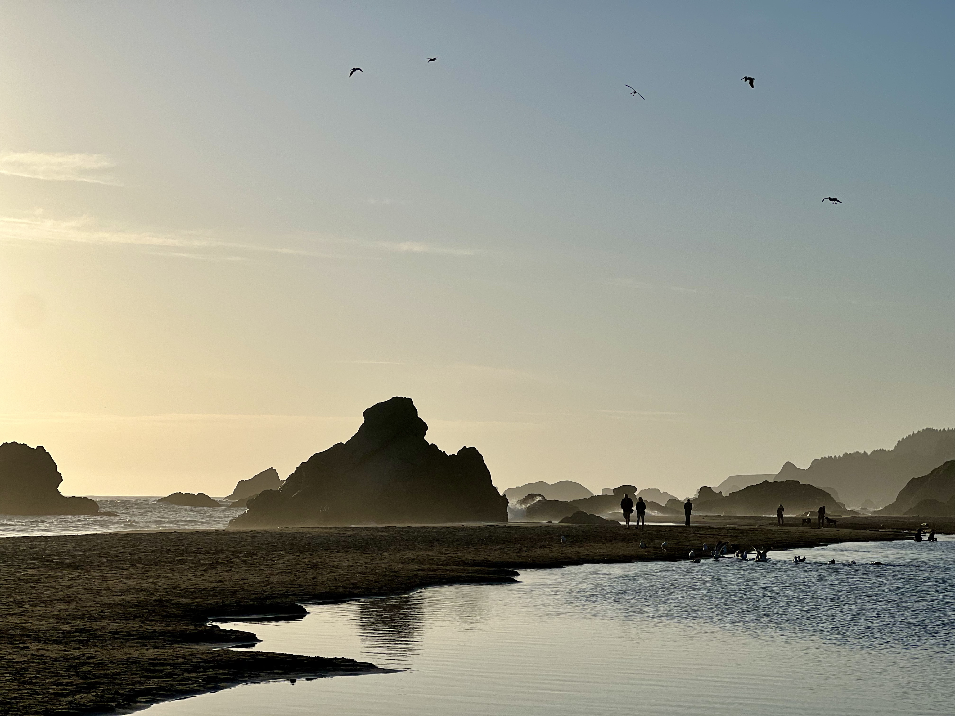 Harris Beach State Park with sea stacks and tide pools in Brookings, Oregon