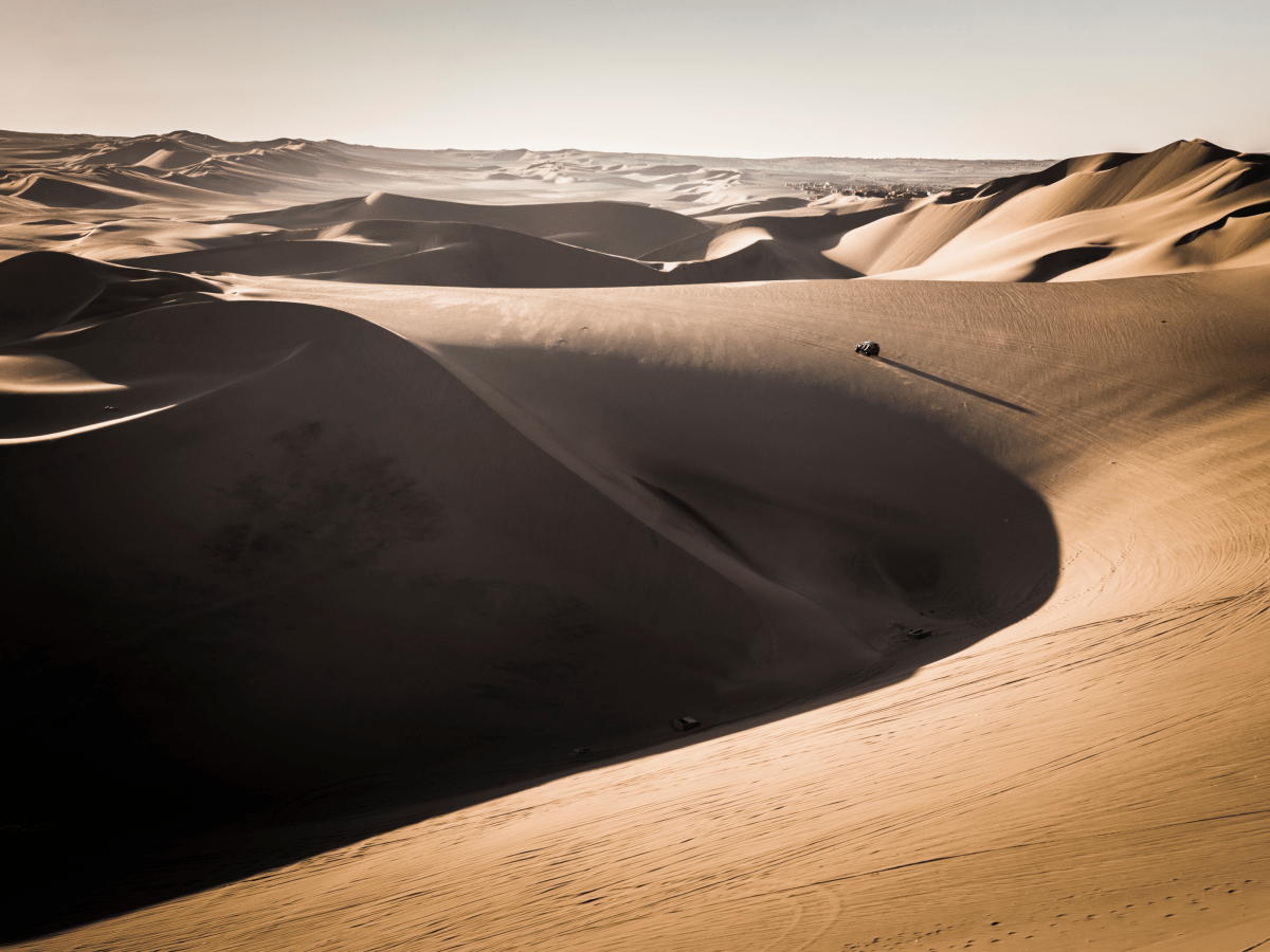 Complete Guide to the Oregon Sand Dunes & Activities