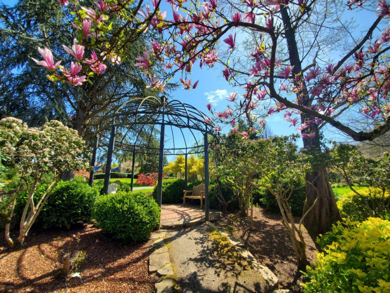 Explore the Oregon Garden: A Botanical Paradise in Silverton
