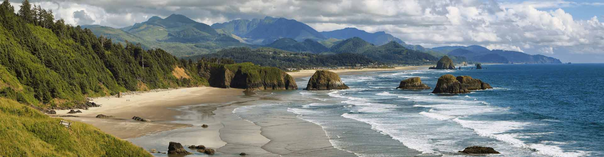 coastal forests and beaches along the oregon coast near coos bay oregon