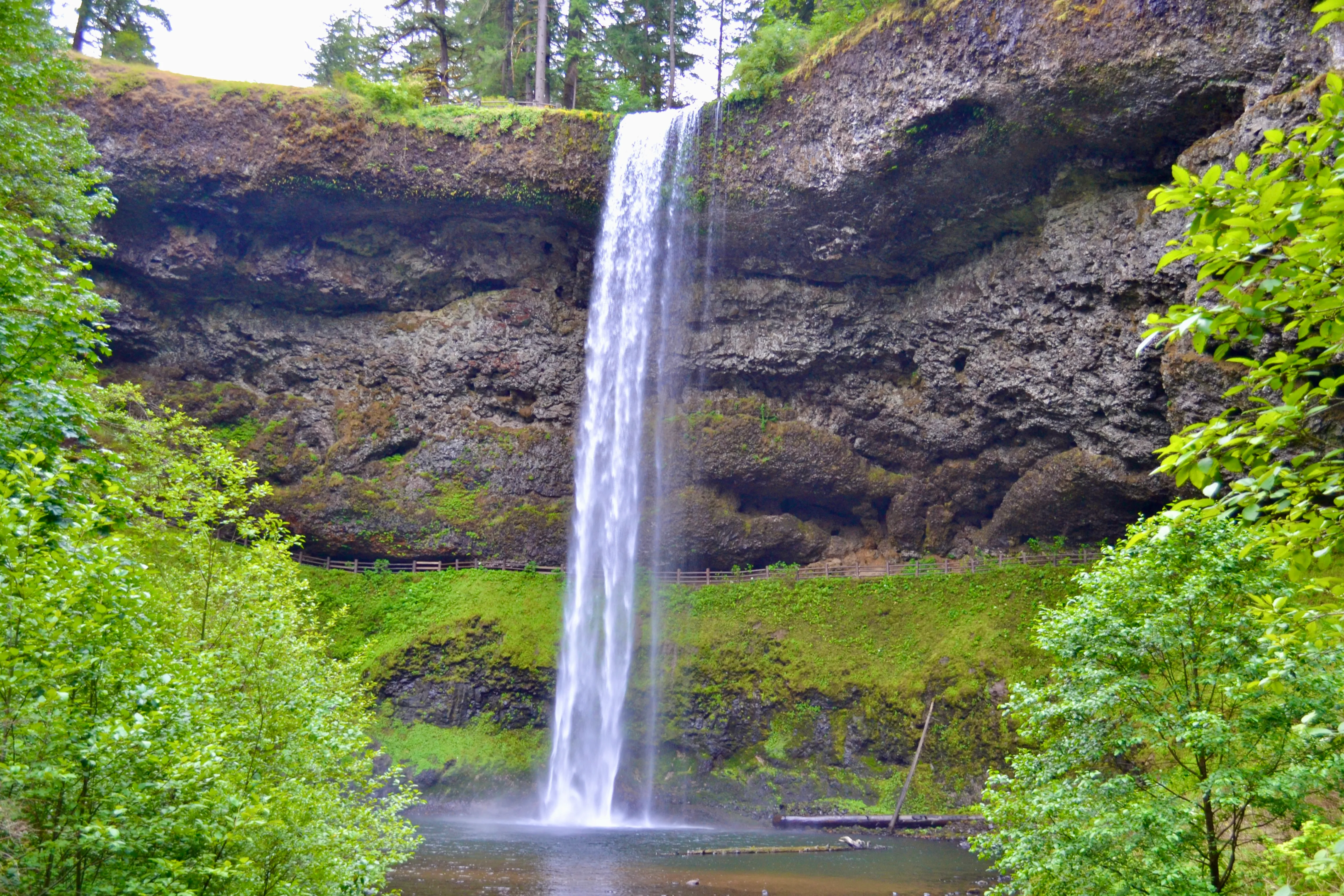 Silver Falls State Park - Trail of Ten Falls