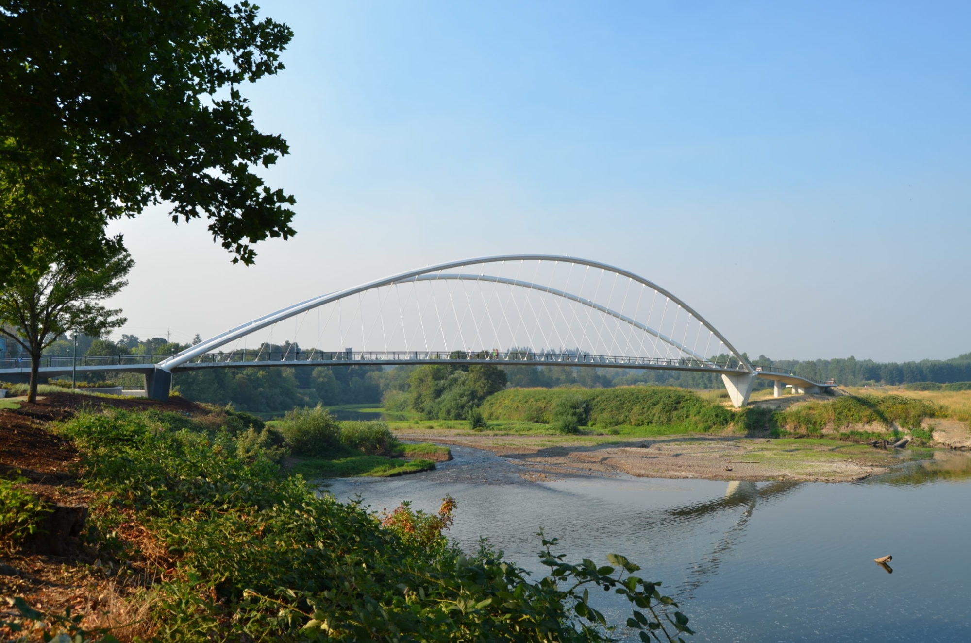 Willamette River Fishing Salem Oregon - Peter Courtney Minto Island Bridge 