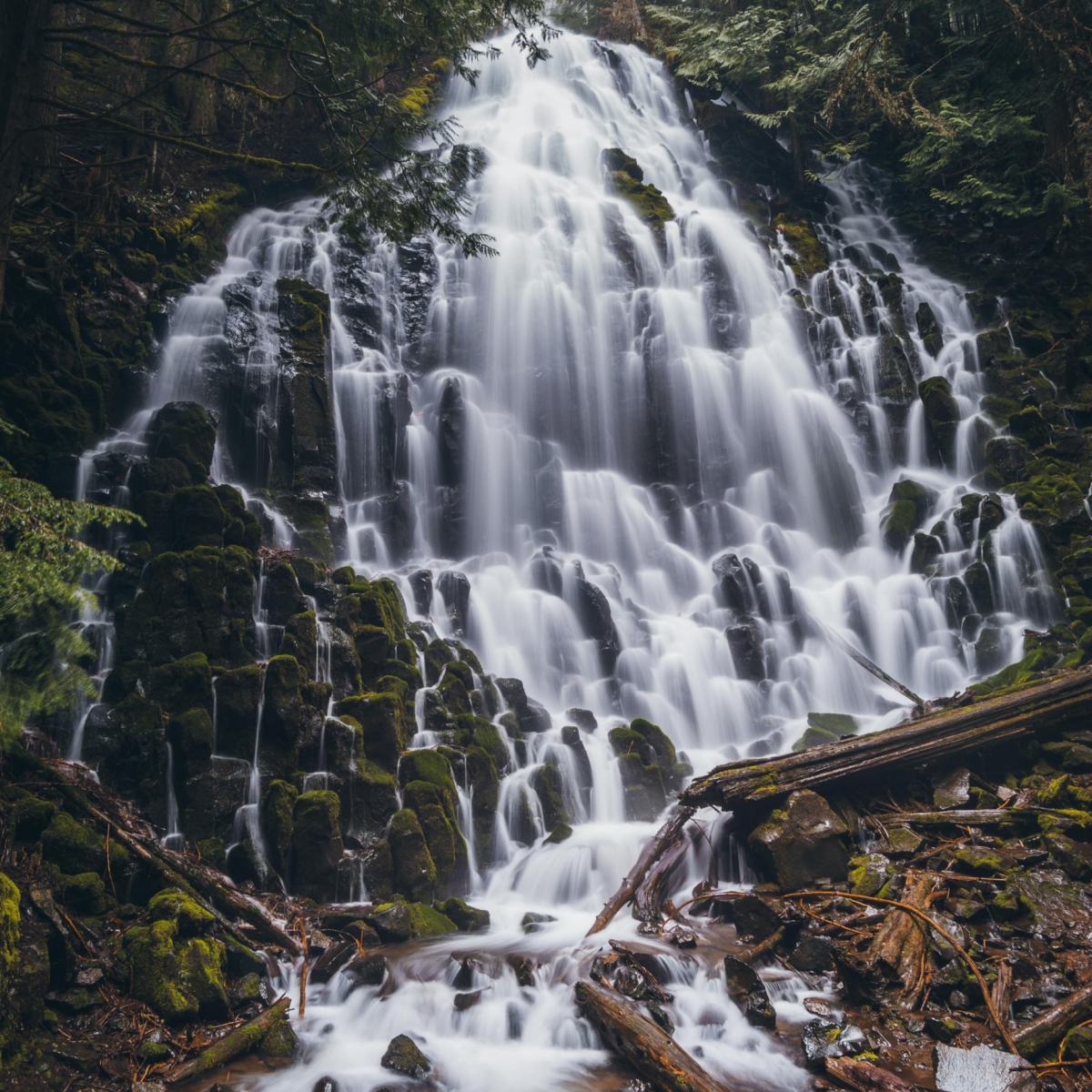Ramona Falls Trail