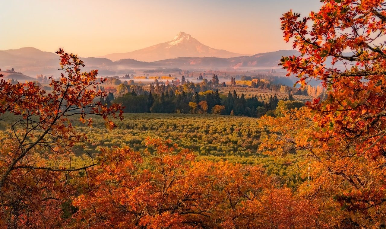 Fall in Oregon | Mount Hood