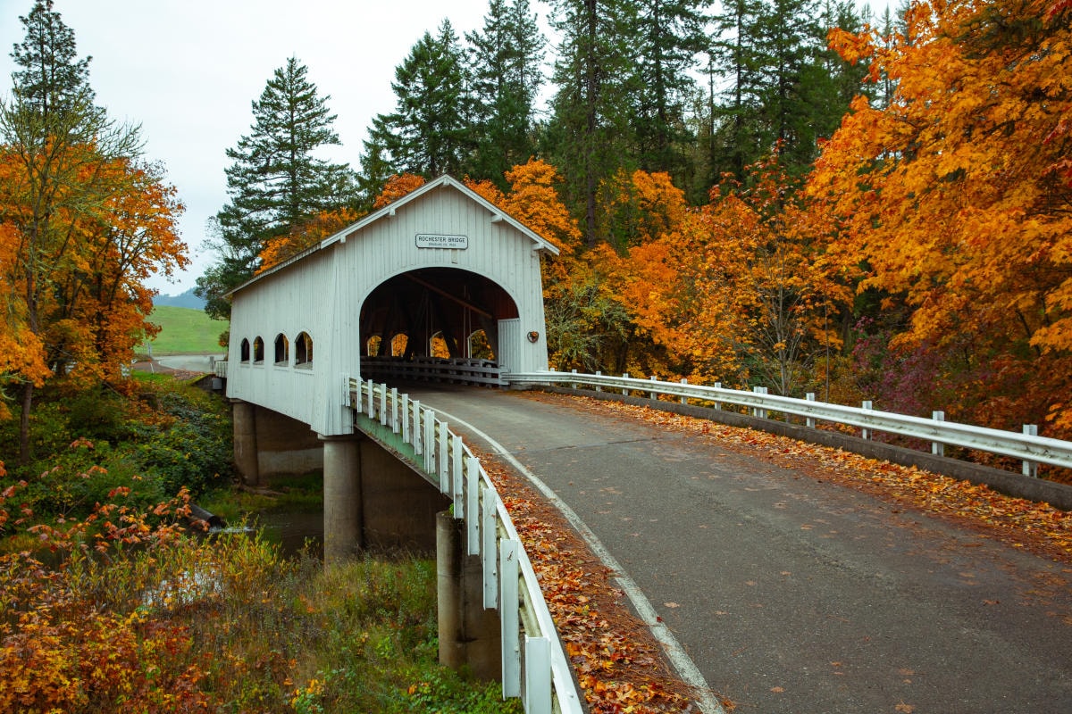 Historic Covered Bridges and Fall Foliage Oregon