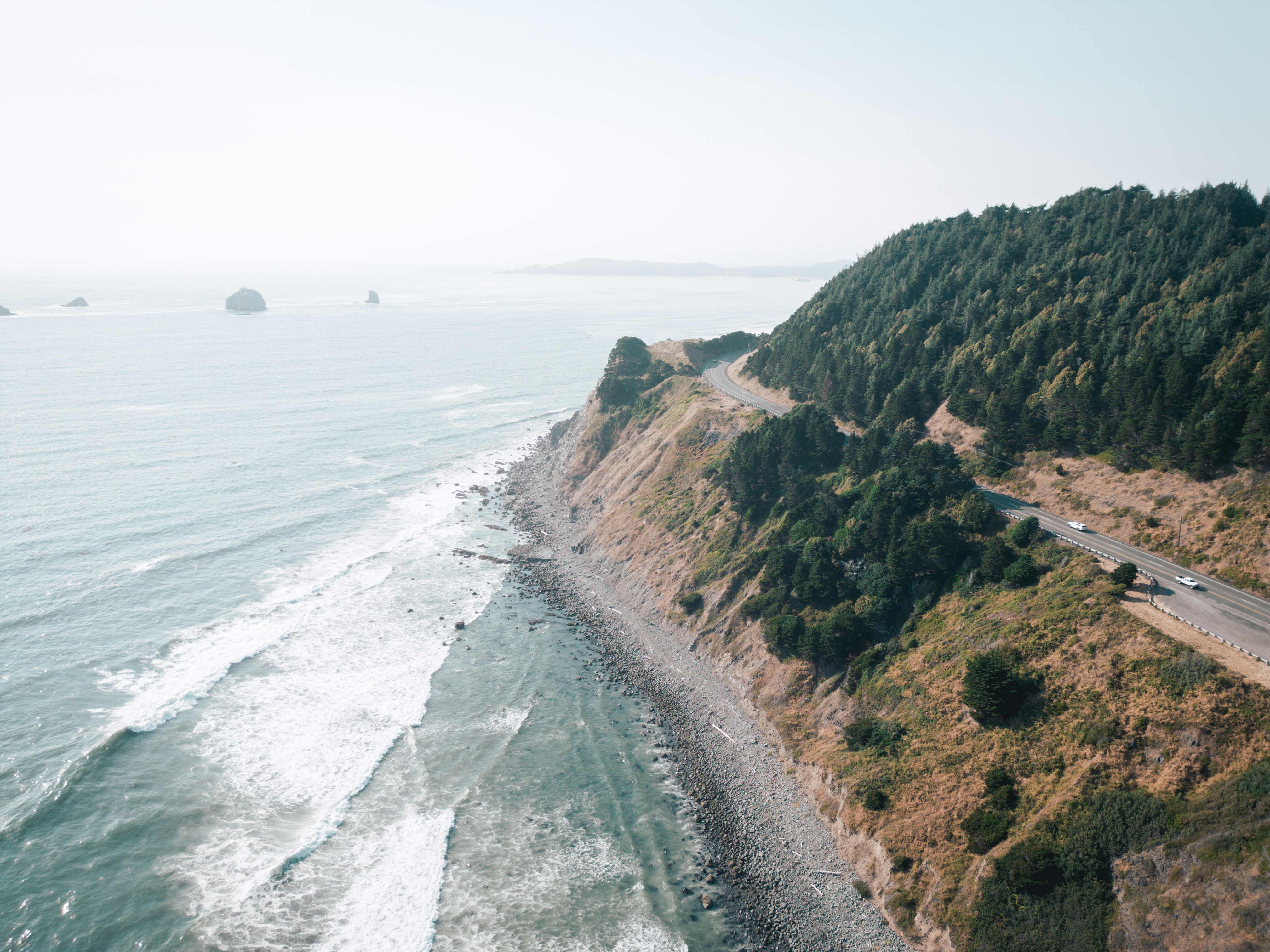 Best birding spots in Oregon including wetlands and coastal headlands