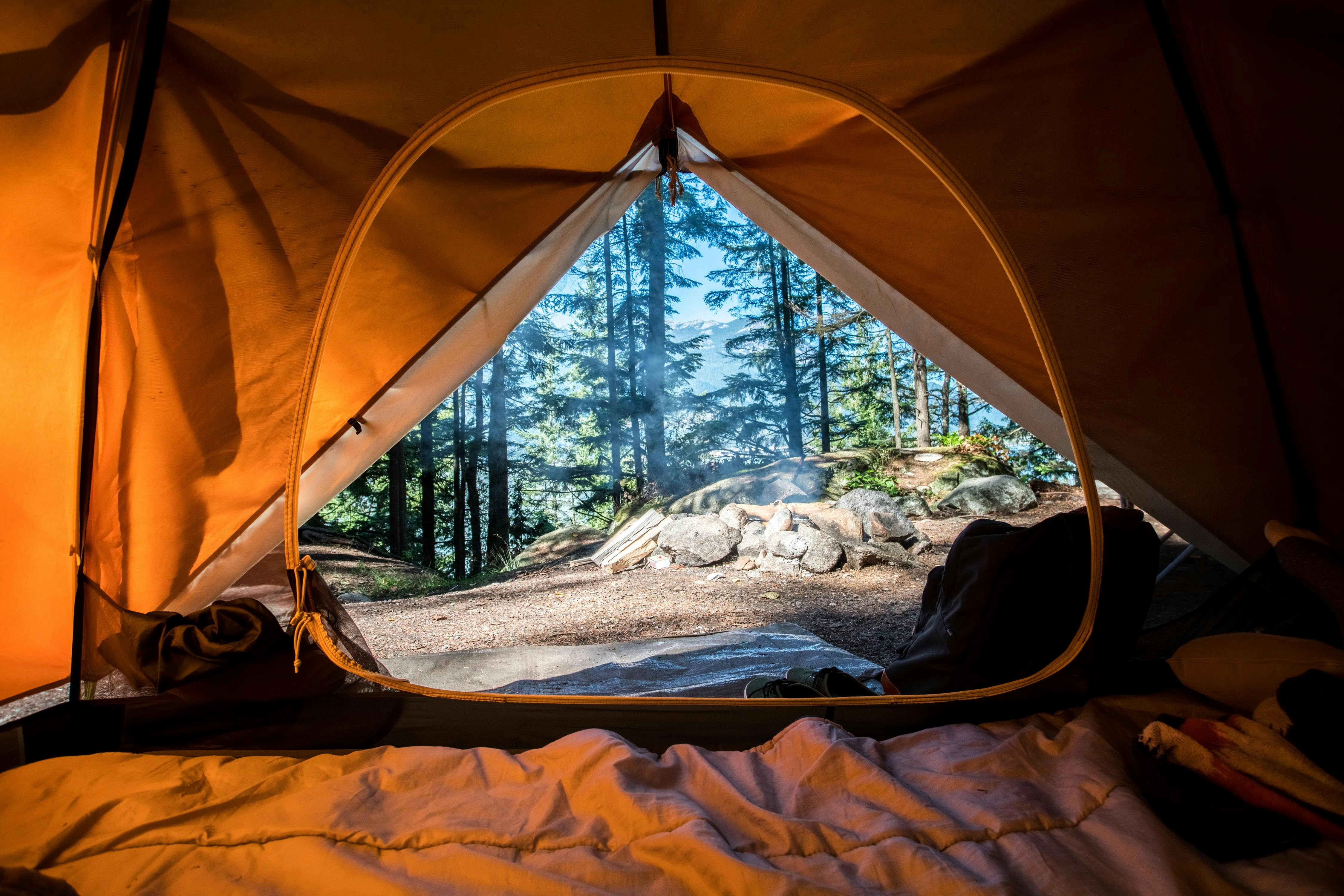 Family camping tents set up at an Oregon campground surrounded by tall conifers