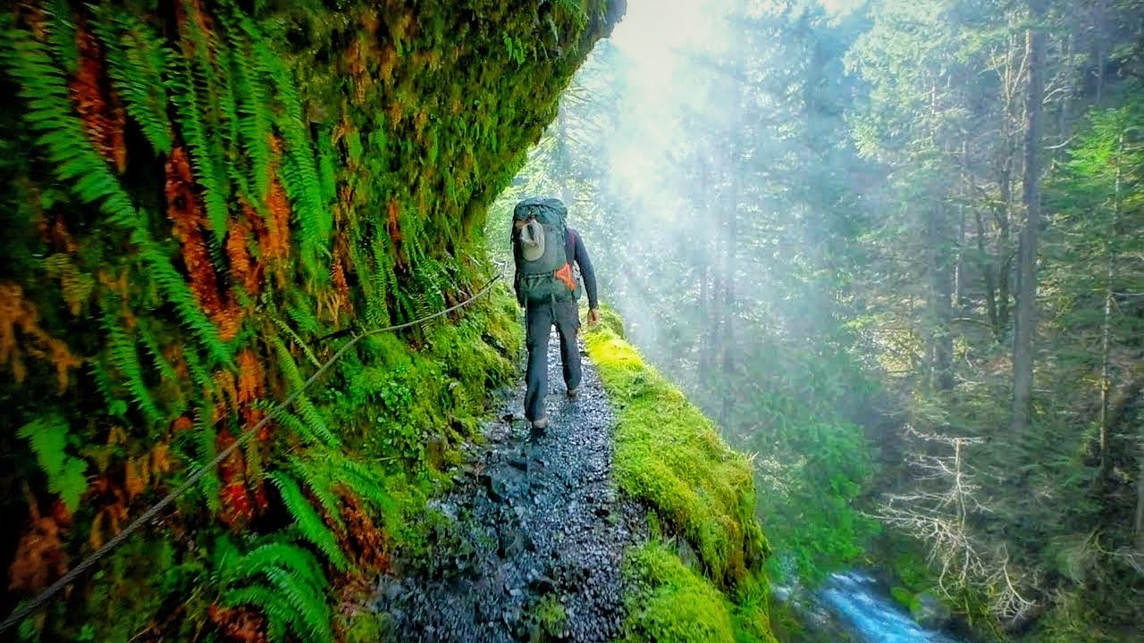 Eagle Creek Trail in the Columbia River Gorge with cliffside path and basalt walls