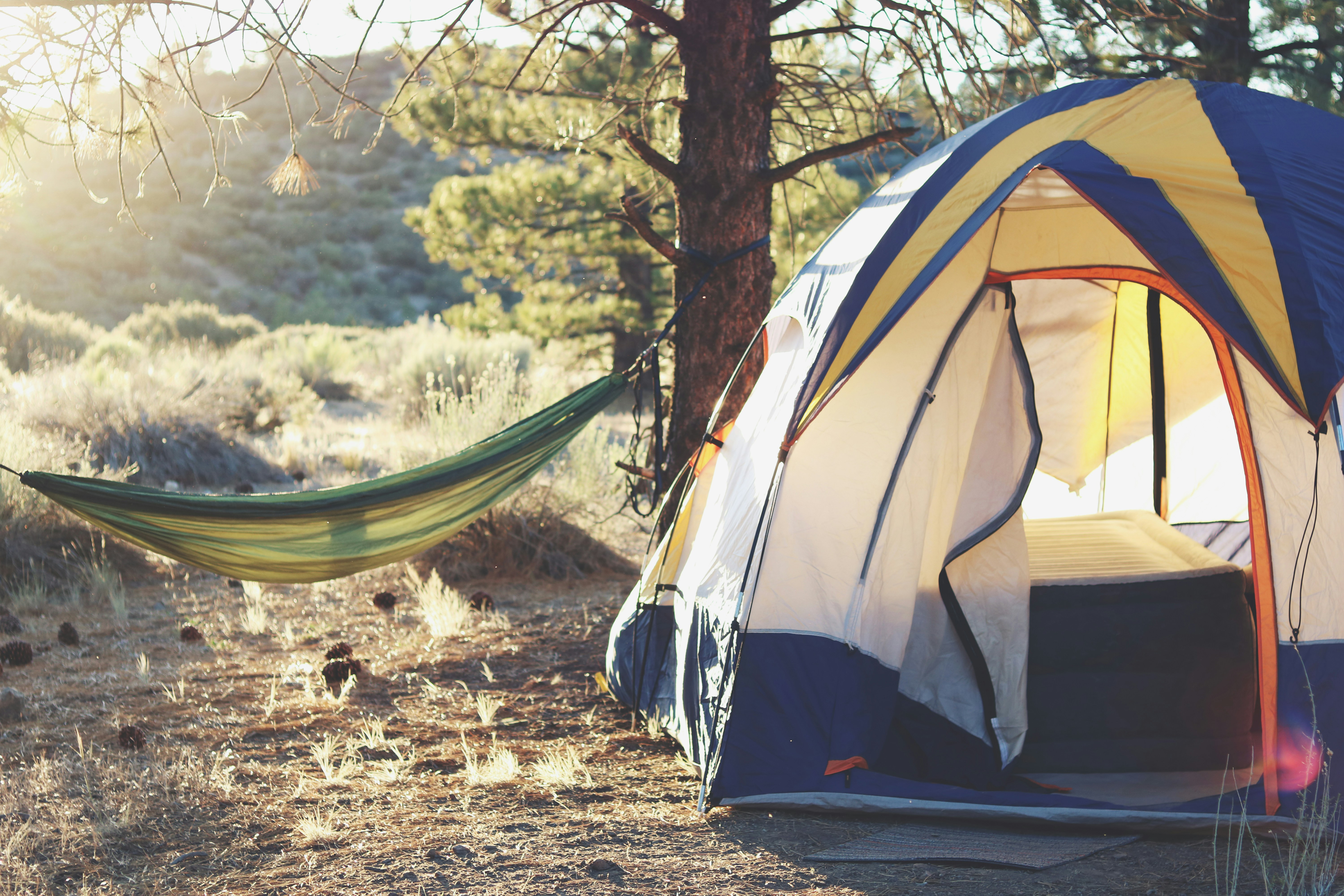 A first-time camper setting up a tent at a forested campsite