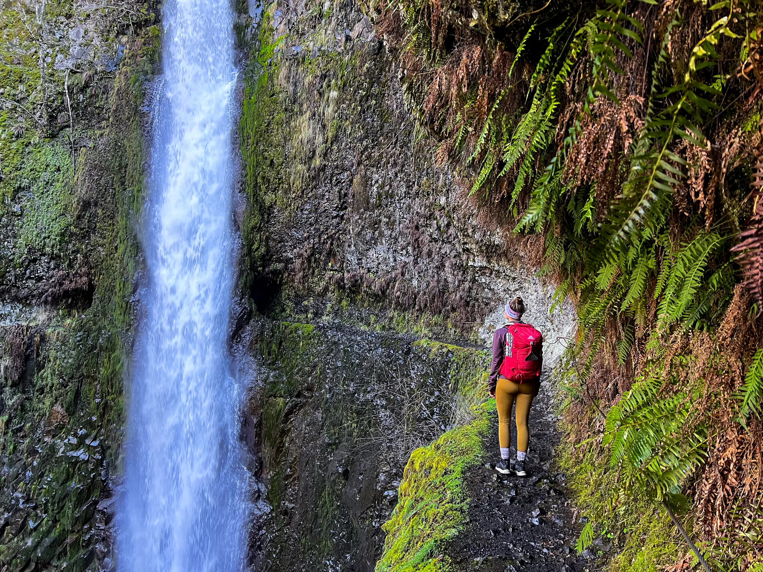 Tunnel Falls on the upper Eagle Creek Trail, a 175-foot waterfall with the hand-blasted hiker tunnel cut into the cliff behind the falling water