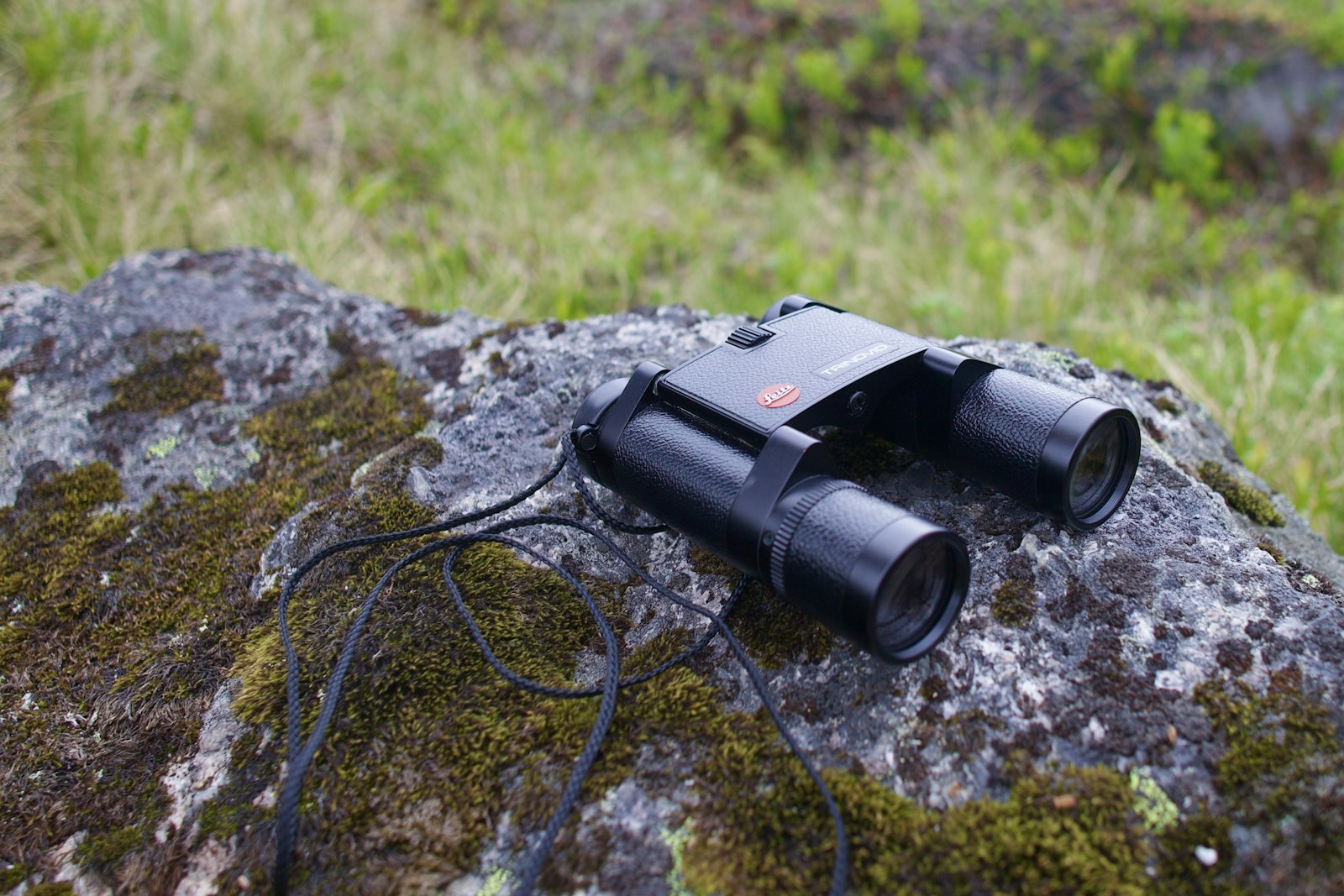 Best binoculars for bird watching and birding across Oregon