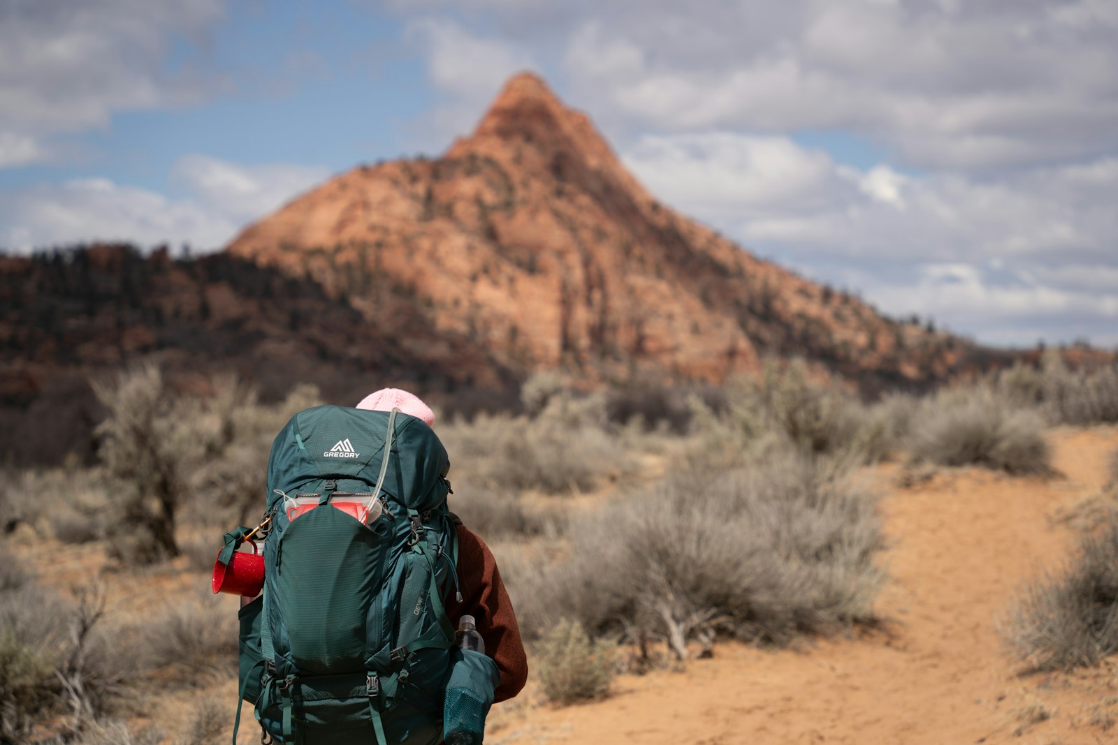 Best budget hiking backpack for beginners packed for a first overnight trip