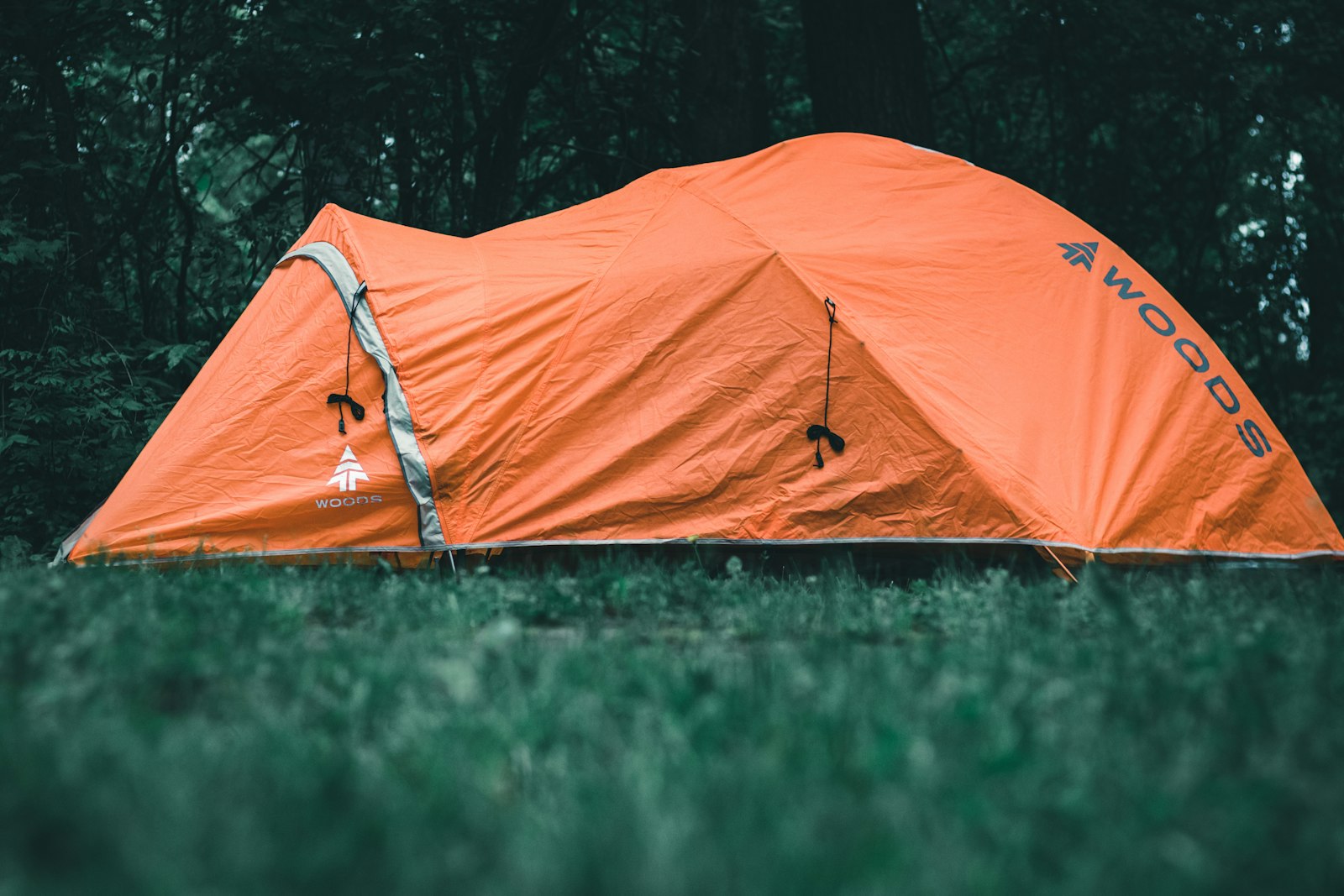 A camping tent pitched at an Oregon campsite under a forest canopy