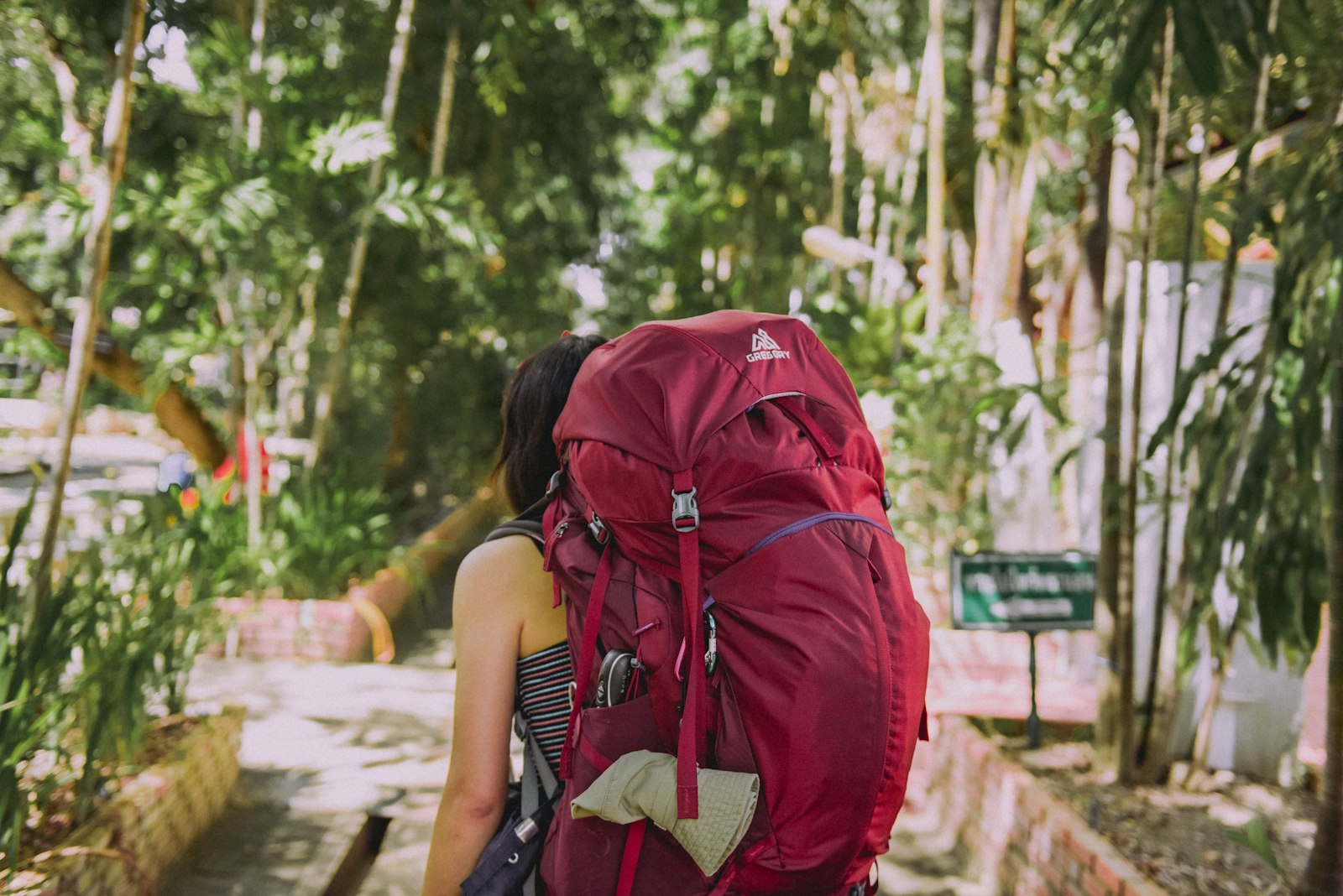 Women's-specific hiking backpacks at a trailhead
