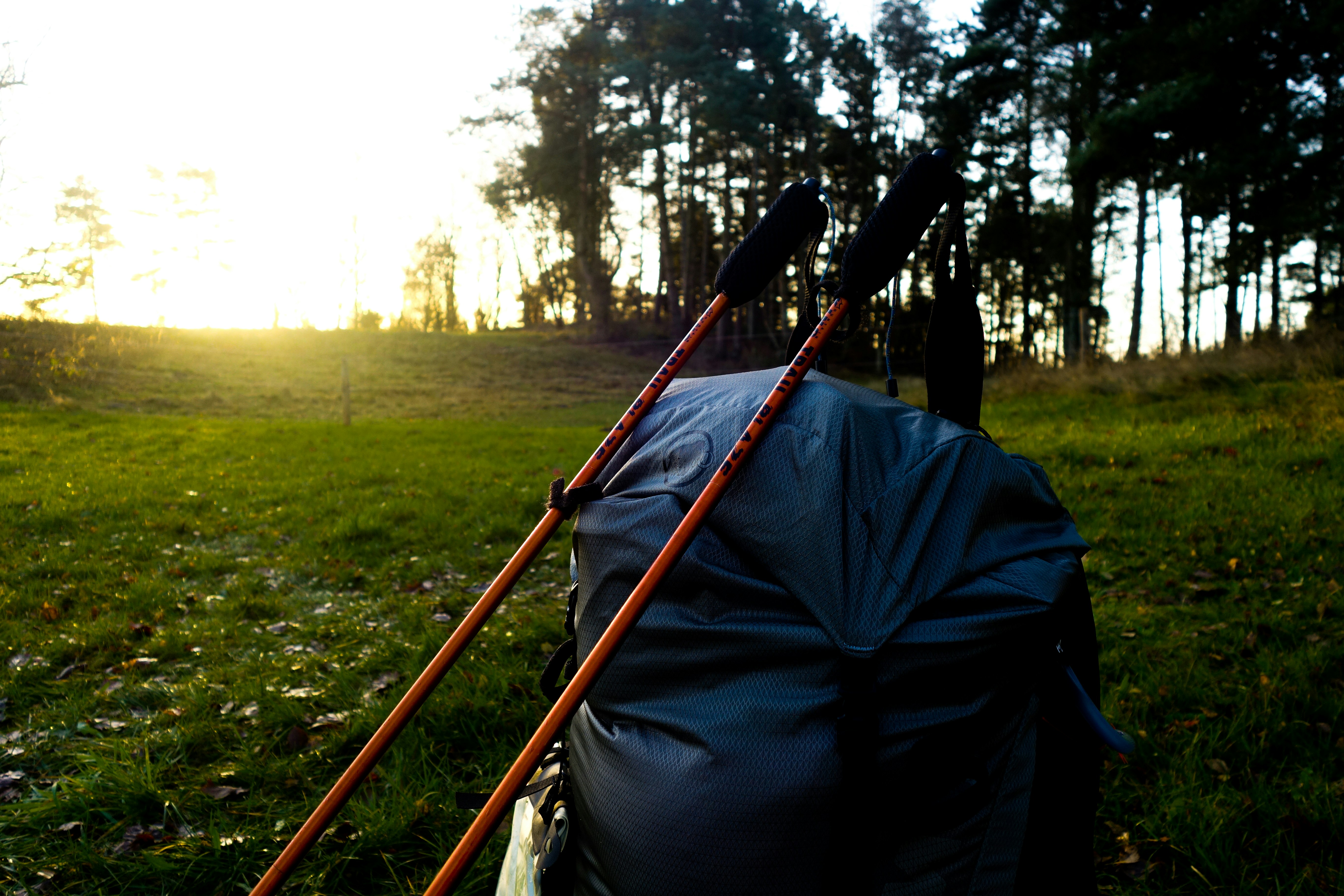 Trekking poles for backpacking trips with heavier pack loads