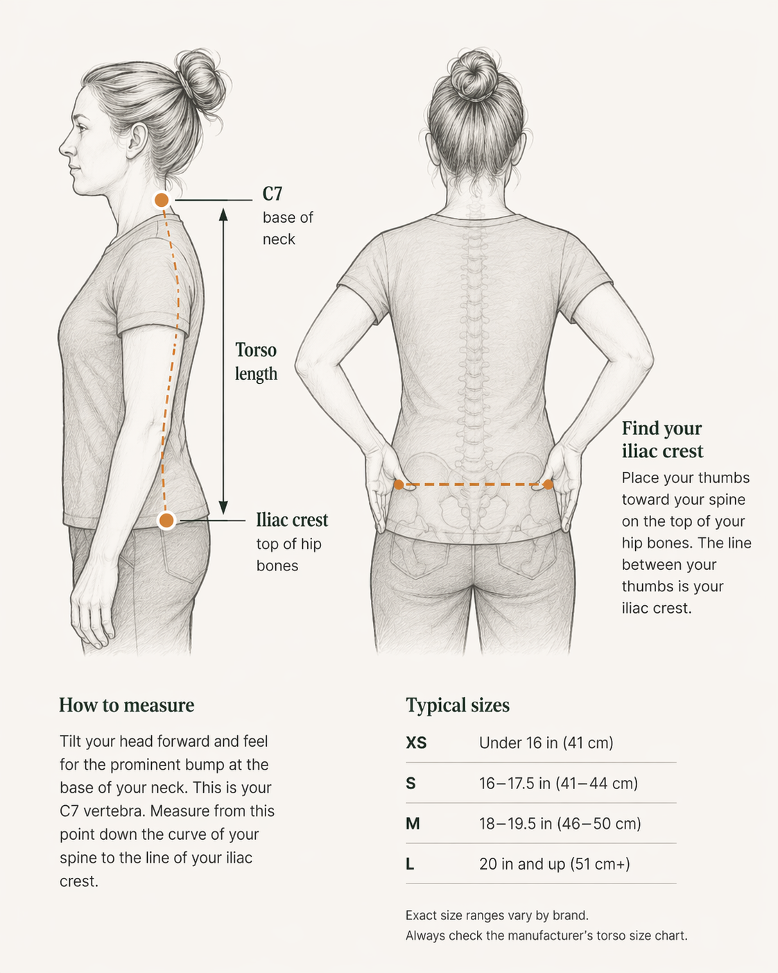 Infographic showing how to measure hiking backpack torso length: from the C7 vertebra at the base of the neck down the spine to the iliac crest at the top of the hip bones