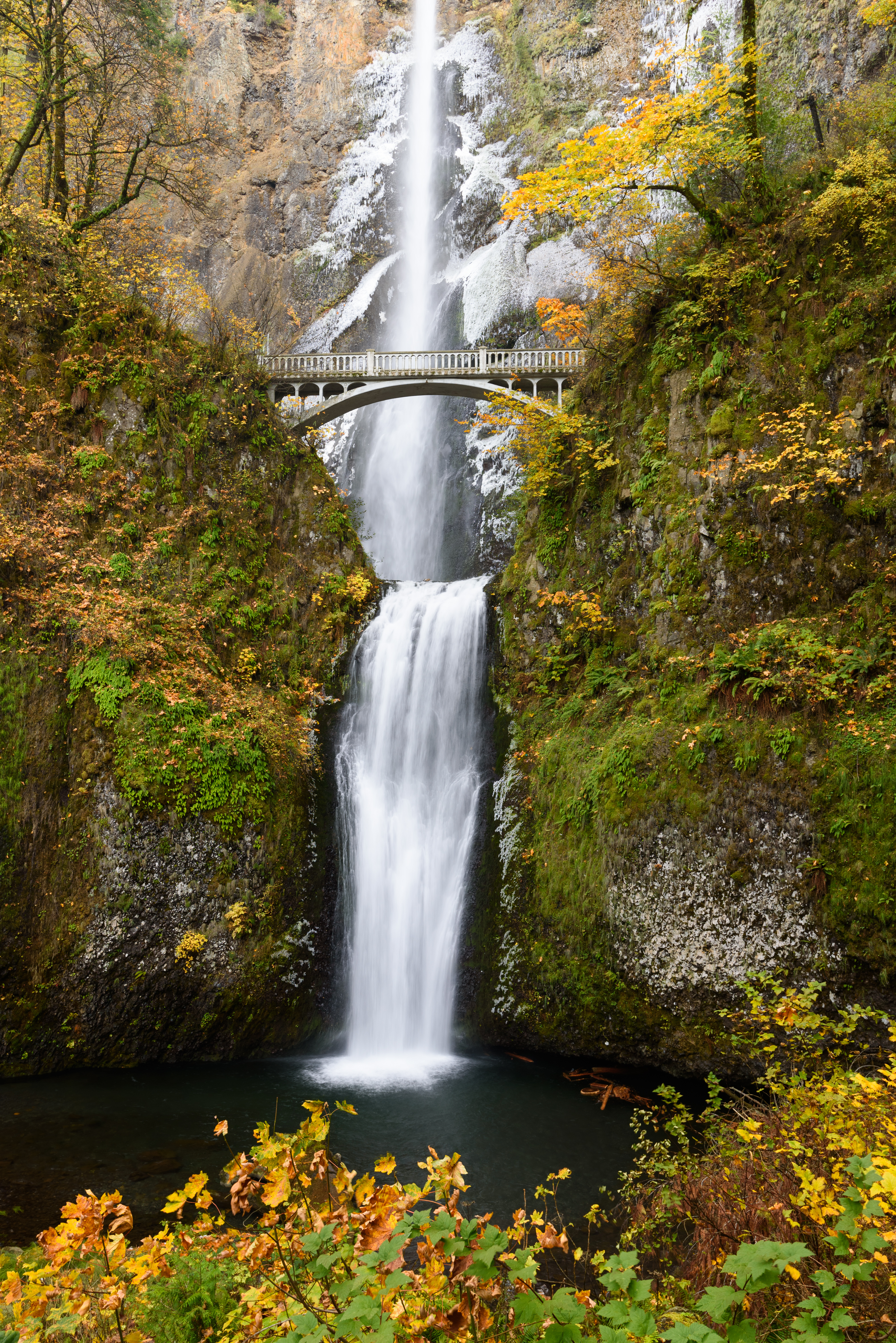 Multnomah Falls cascading 620 feet over two tiers with the historic Benson Bridge between them in the Columbia River Gorge, Oregon