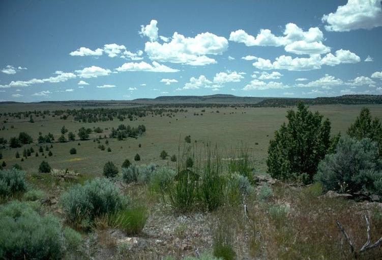 Eastern Oregon high desert habitat with sagebrush and open sky