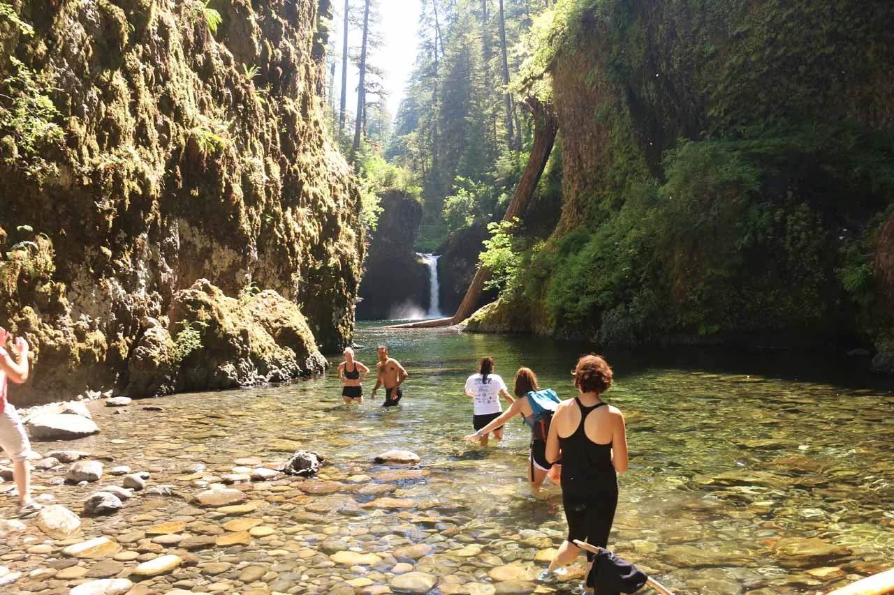 People wading in the shallow water at the lower viewpoint of Punchbowl Falls on Eagle Creek, with the 33-foot waterfall plunging into the circular emerald pool behind them