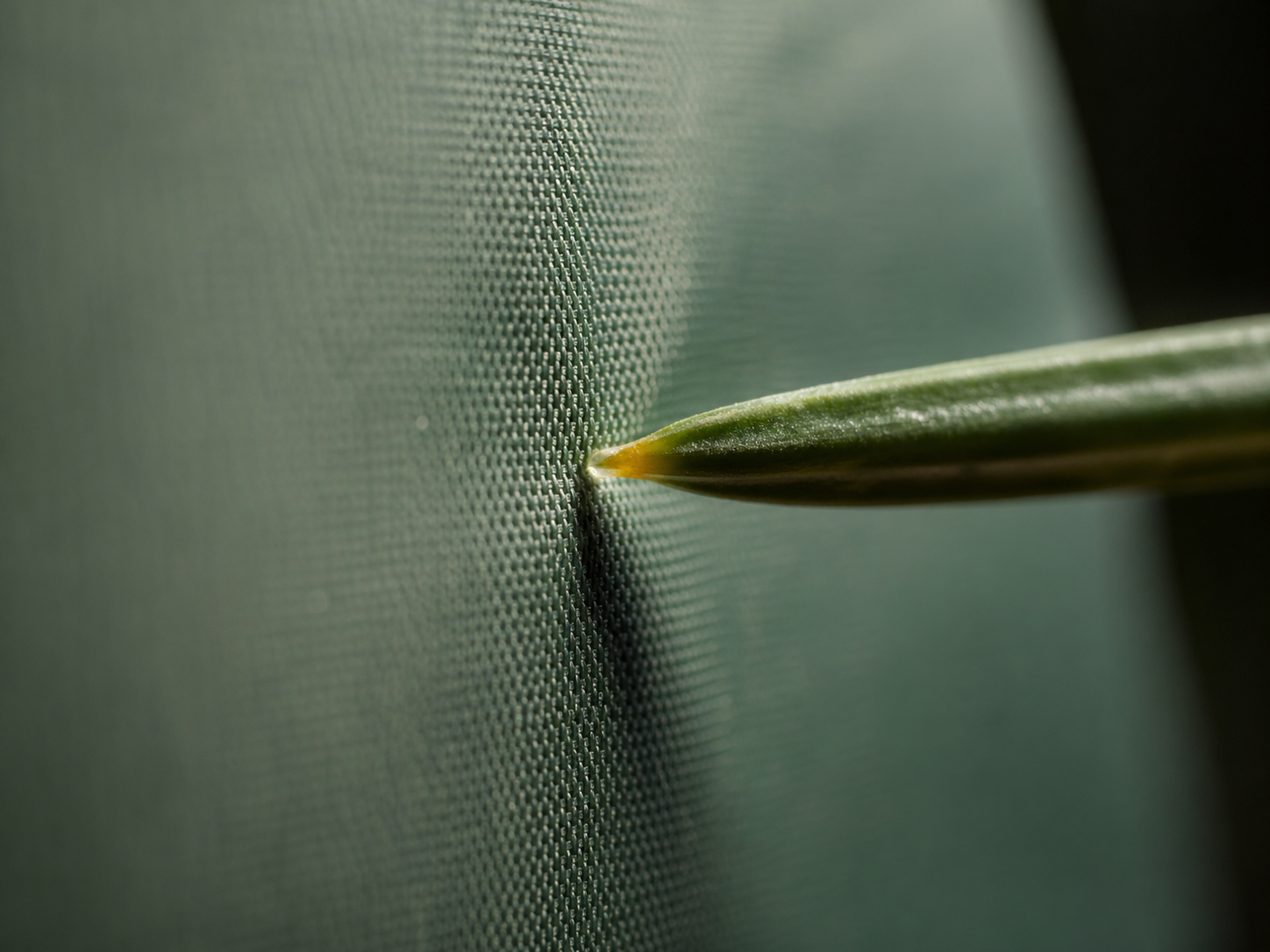 Macro close-up of a sharp Douglas fir pine needle pressed against taut green nylon tent floor fabric, the needle's tip indenting the fabric just before puncture