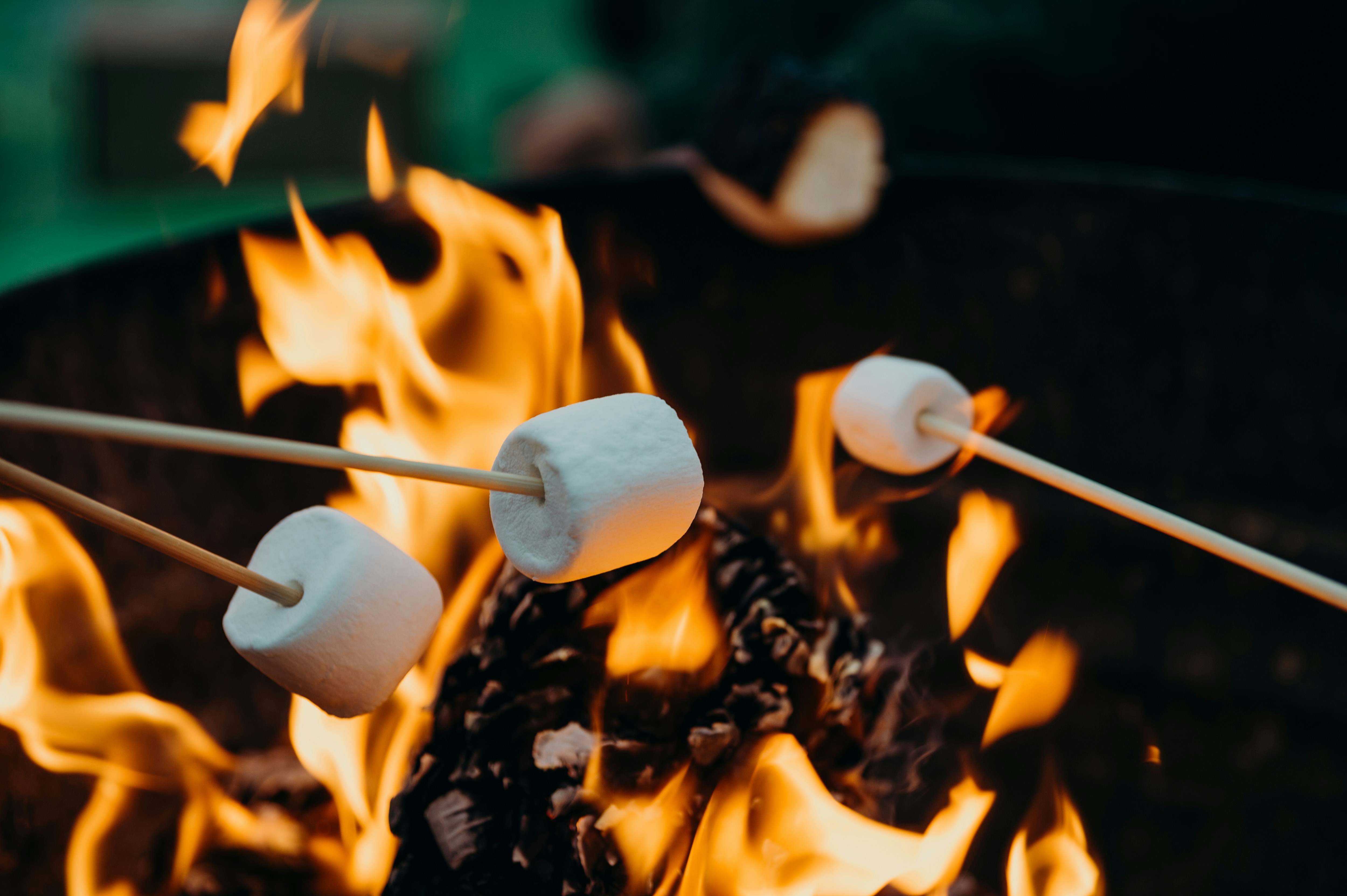 Roasting marshmallows over a campfire at an Oregon campground