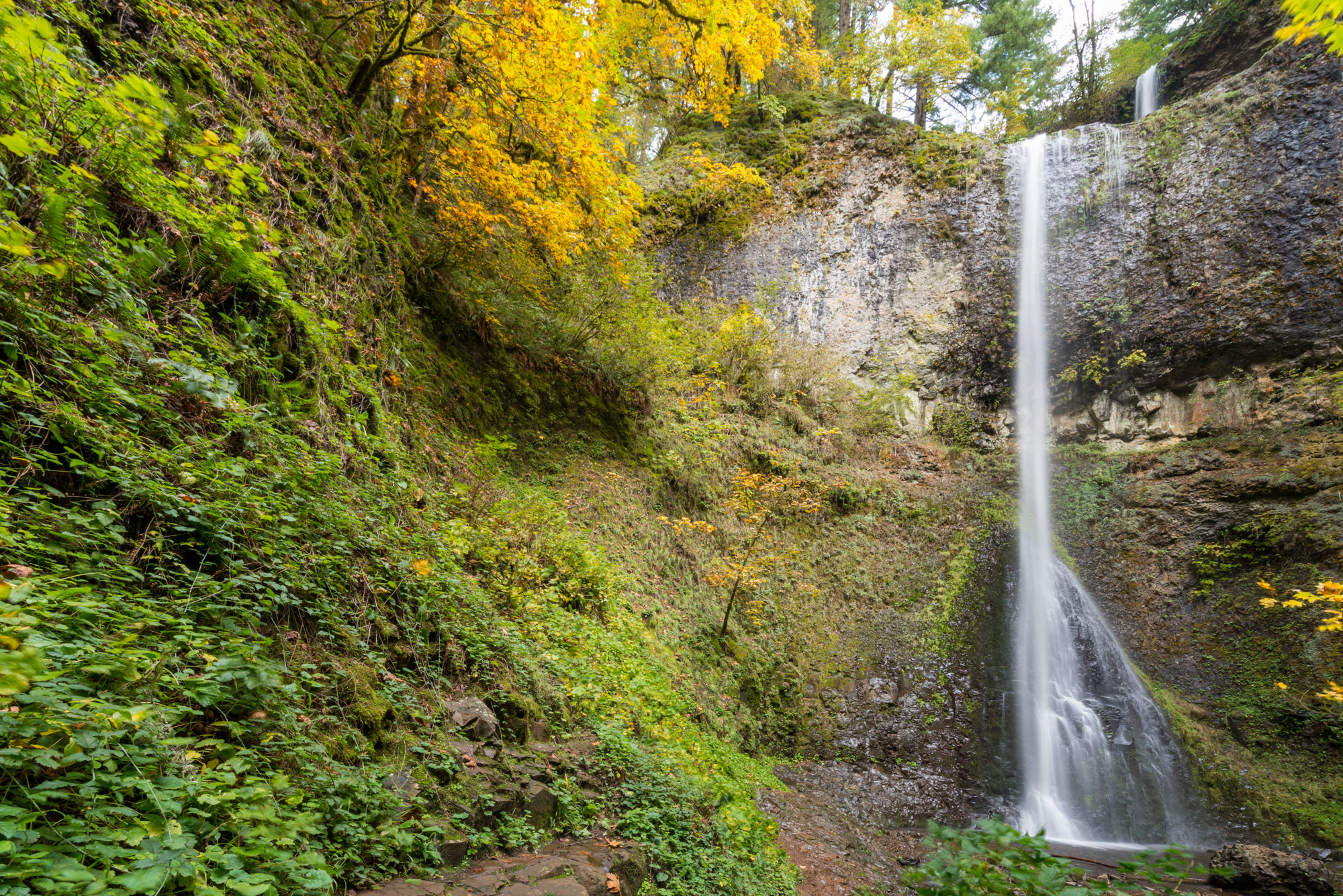 Double Falls cascading through autumn foliage at Silver Falls State Park