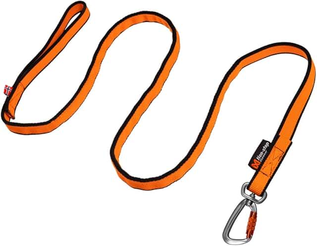 Non-stop dogwear Bungee Leash