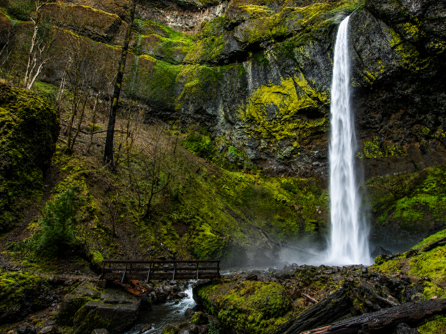 Elowah Falls 213-foot plunge waterfall cascading down basalt cliffs into a mist-filled pool in the Columbia River Gorge Oregon
