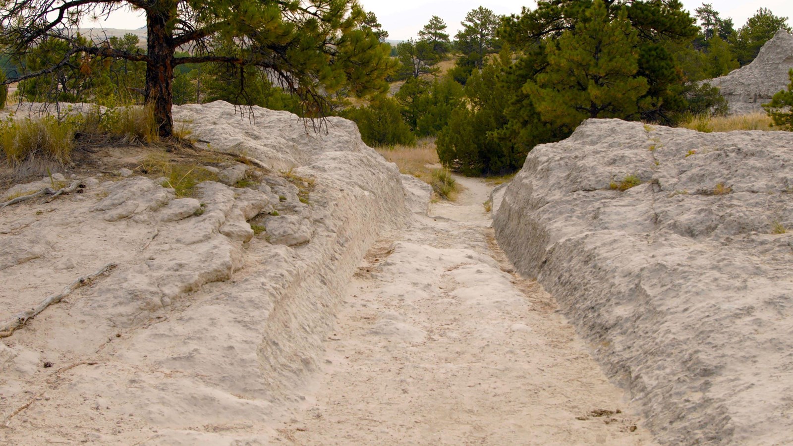 Wagon ruts carved up to 5 feet deep into sandstone at Guernsey, Wyoming, one of the most dramatic surviving sections of the original Oregon Trail