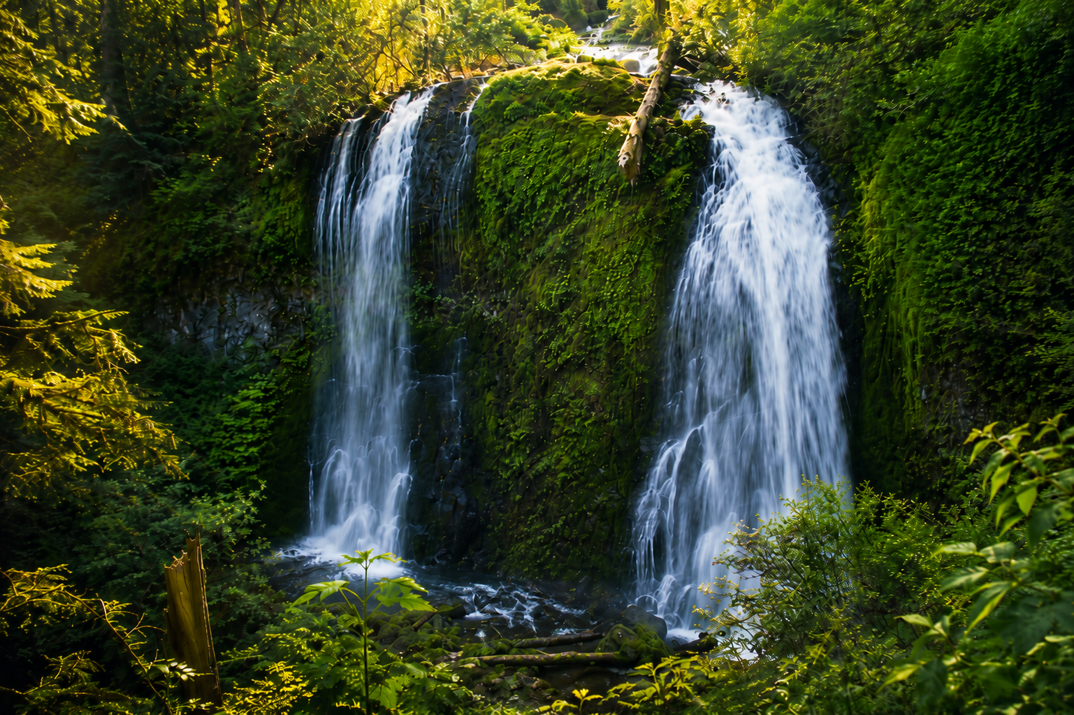 Upper McCord Creek Falls waterfall approximately 100 feet tall in a narrow basalt canyon on the Upper McCord Creek Falls trail near Elowah Falls Oregon