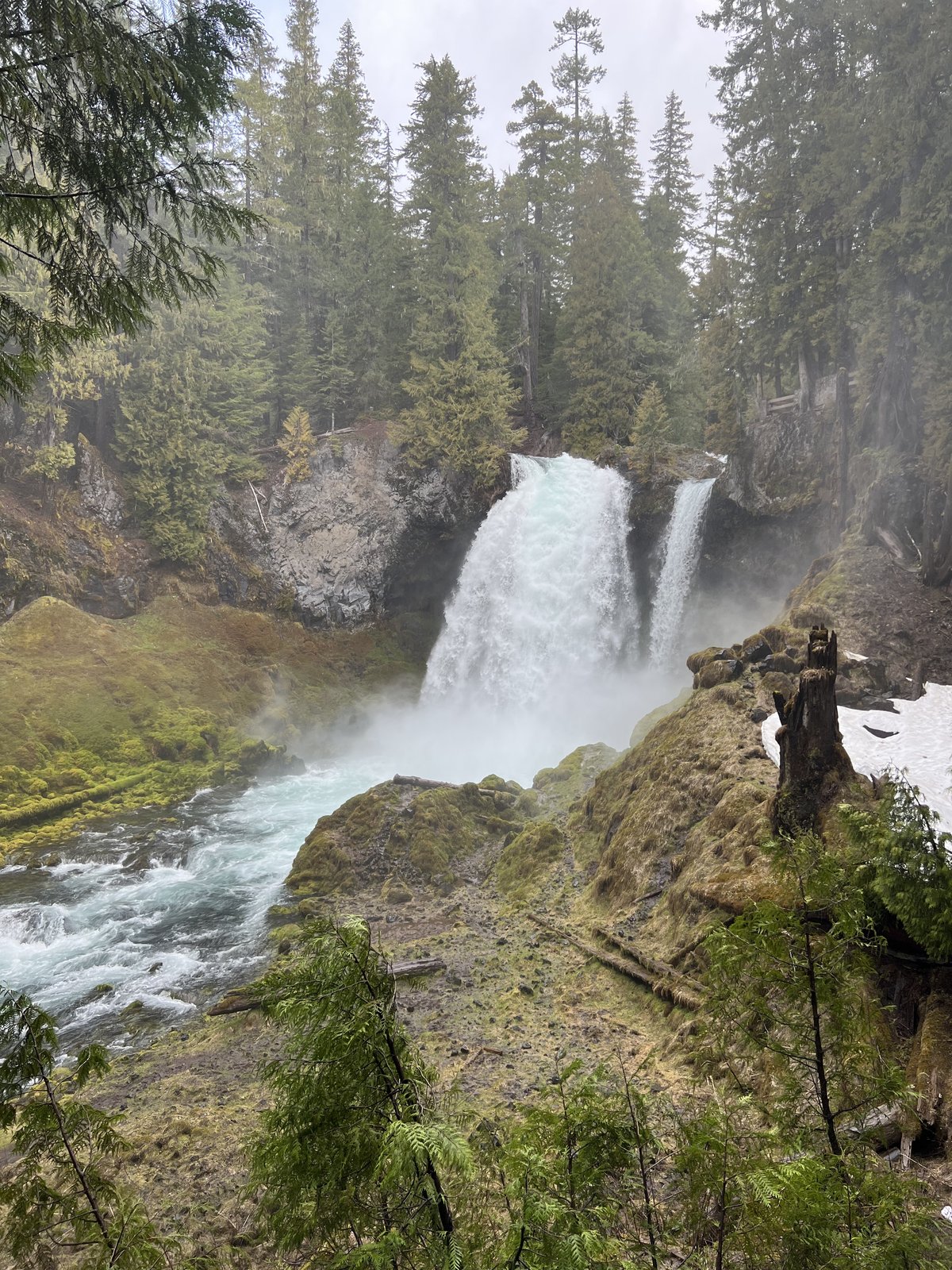 Sahalie Falls cascading 100 feet over a lava dam on the McKenzie River in Willamette National Forest, Oregon