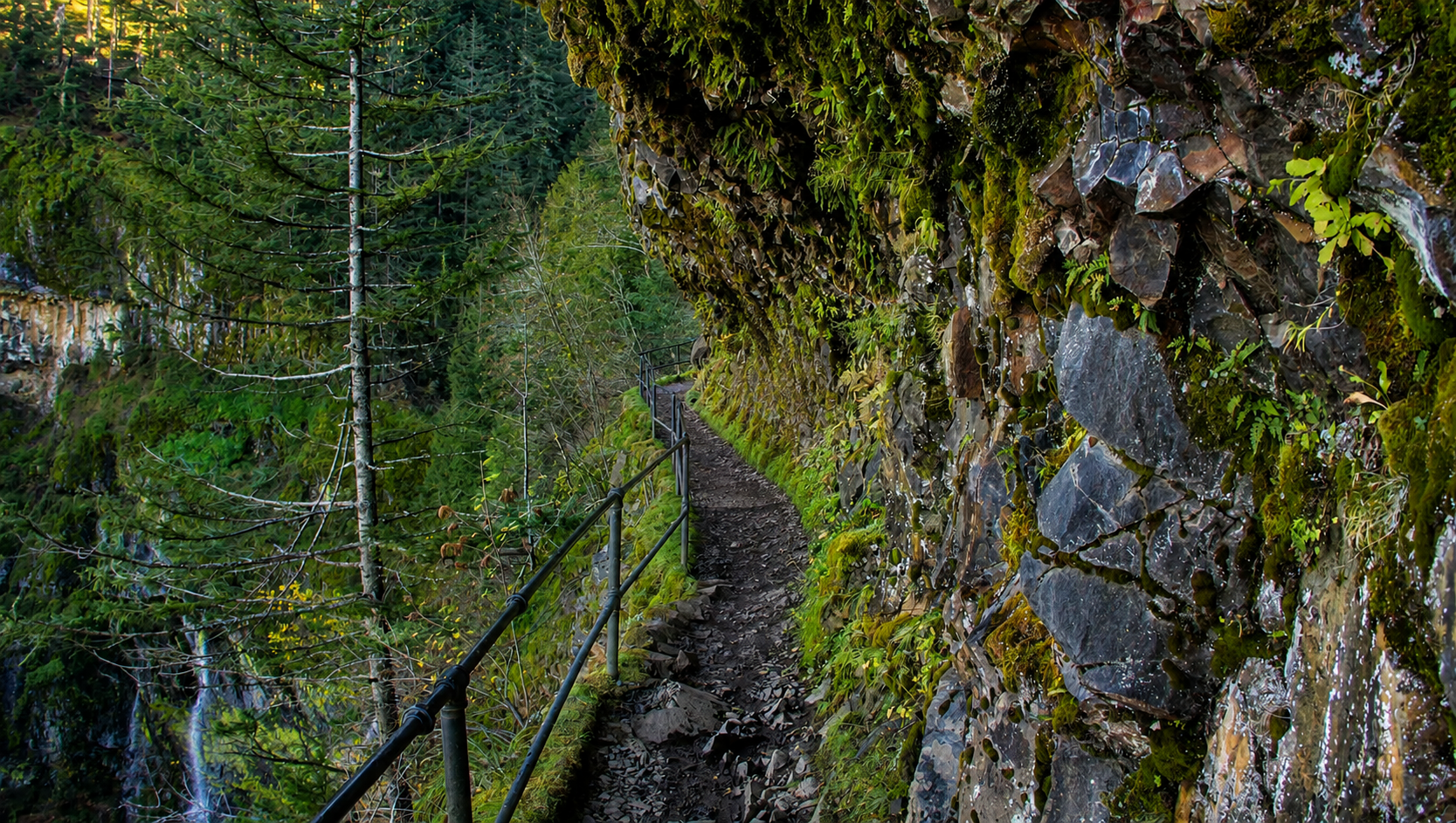 Looking along the Upper McCord Creek Falls cliffside trail with Columbia River views and steep basalt walls on either side